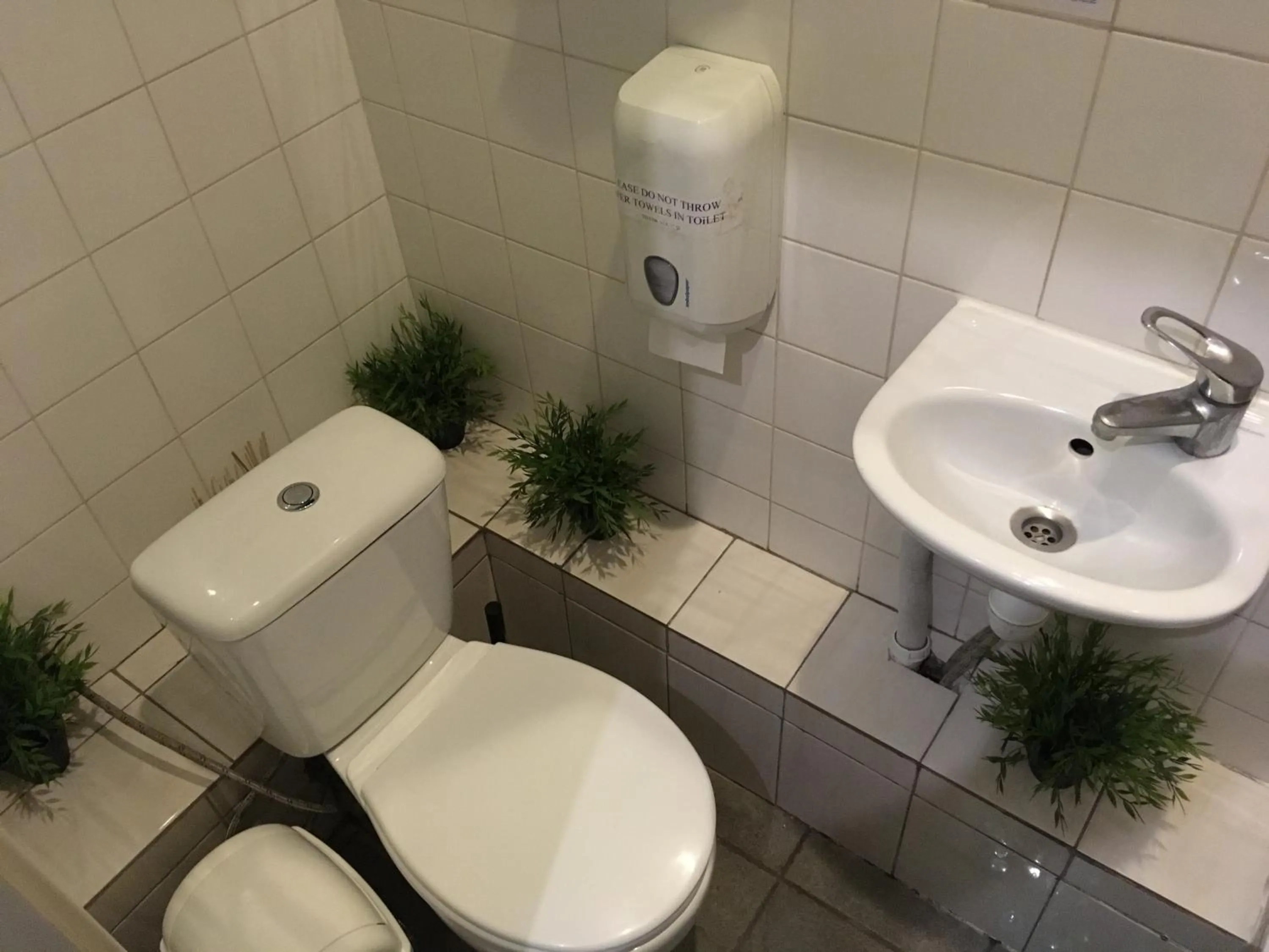 Toilet in Pogo Hostel