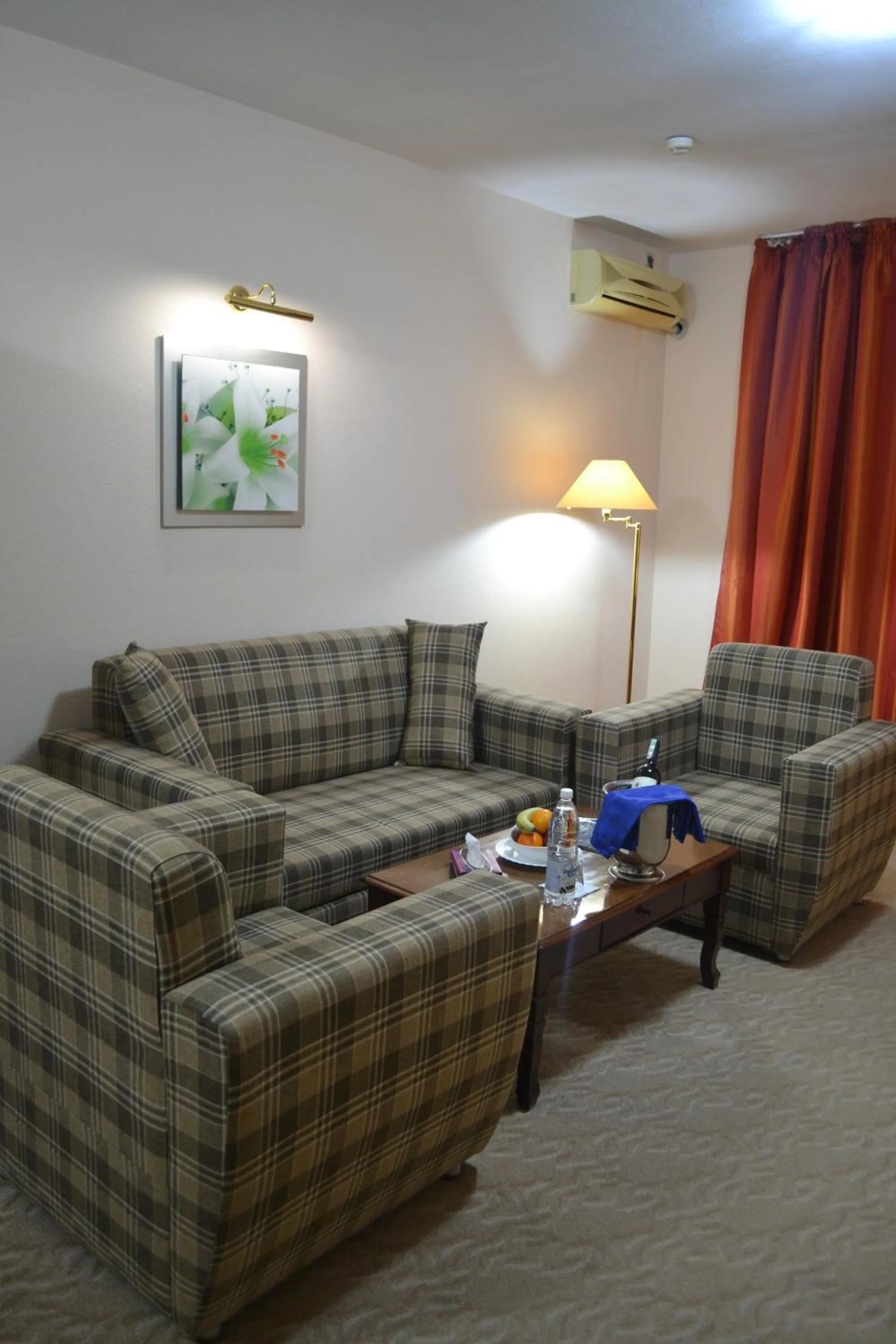 Living room in Tengri Hotel