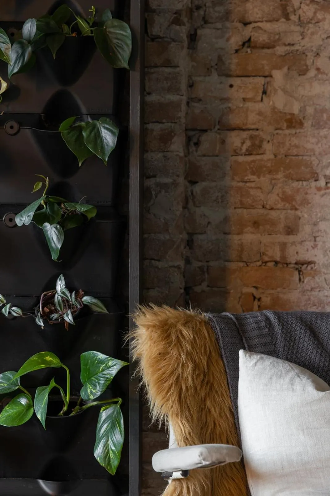 Living room in De oude slaght- luxe suite met buitensauna