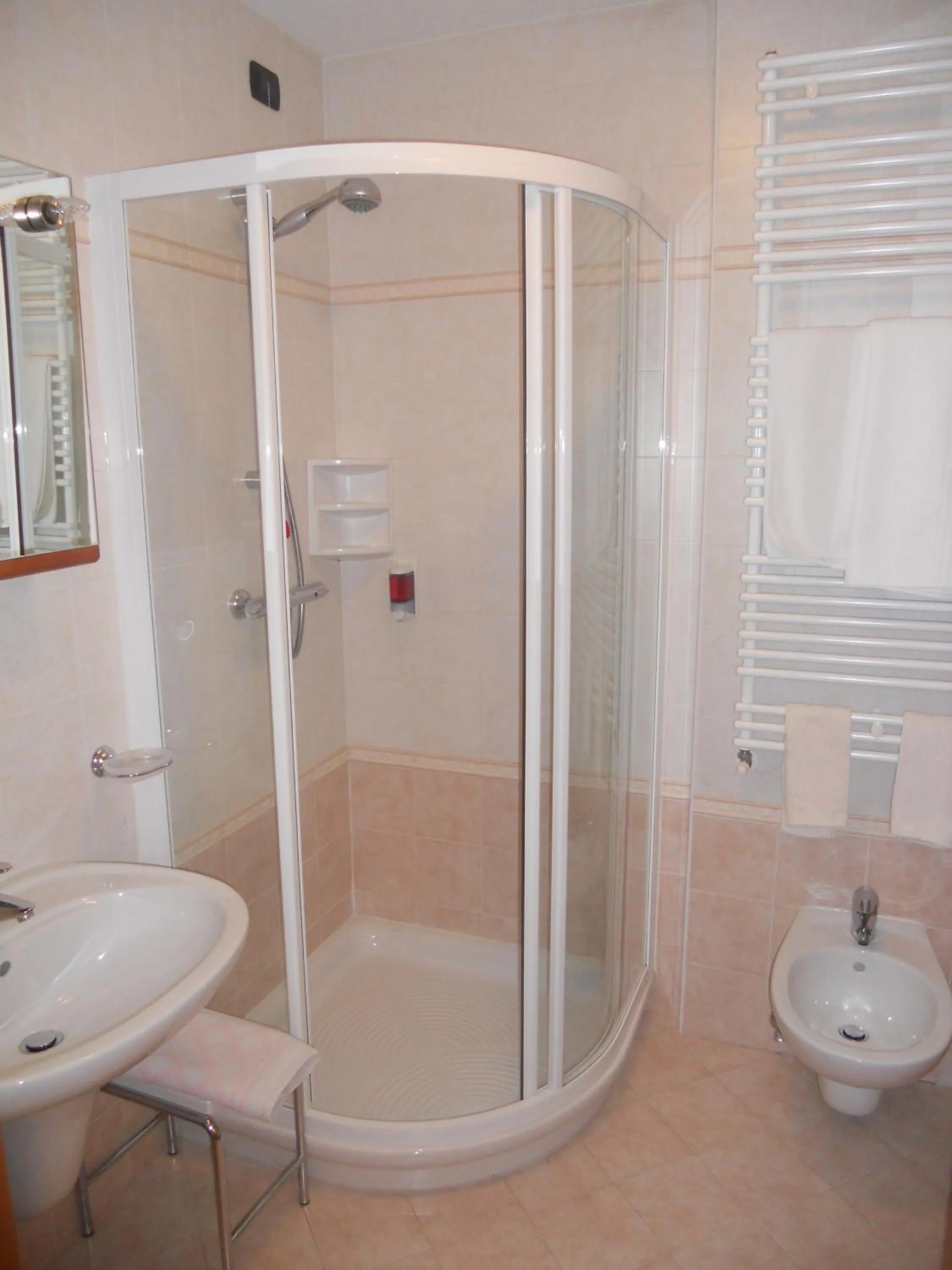 Bathroom in Hotel Stella Alpina