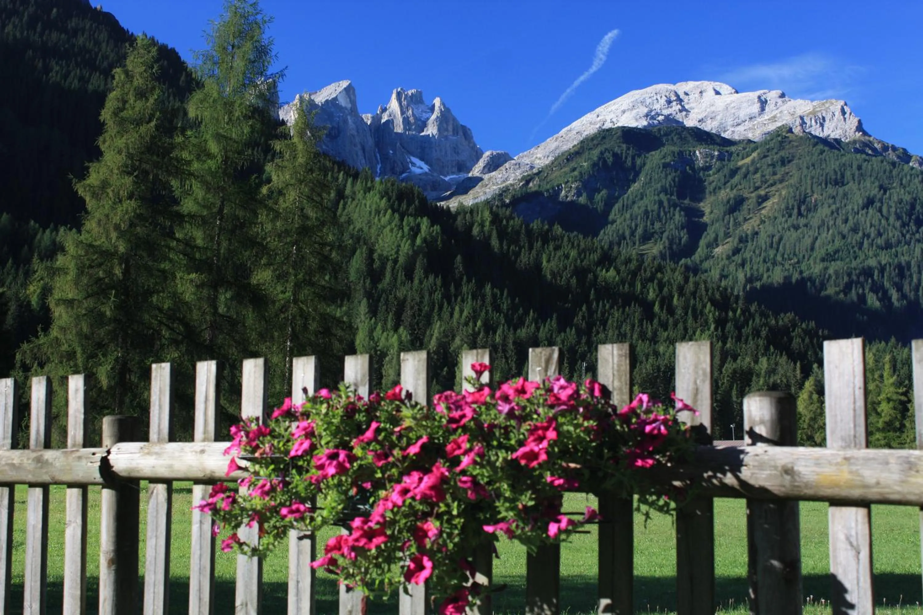 Natural landscape in Hotel Stella Alpina