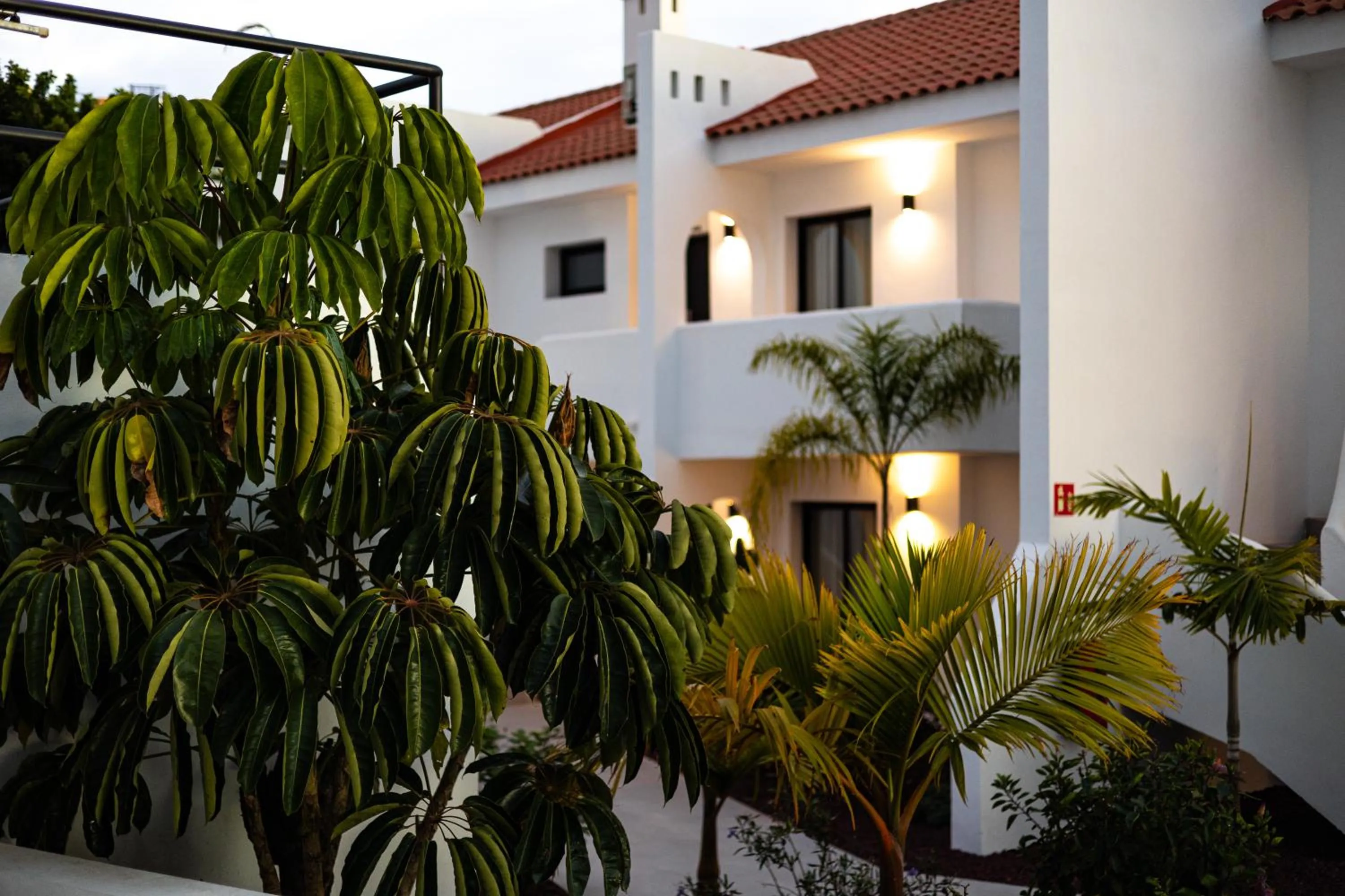 Garden in Costa Adeje Garden Aparthotel