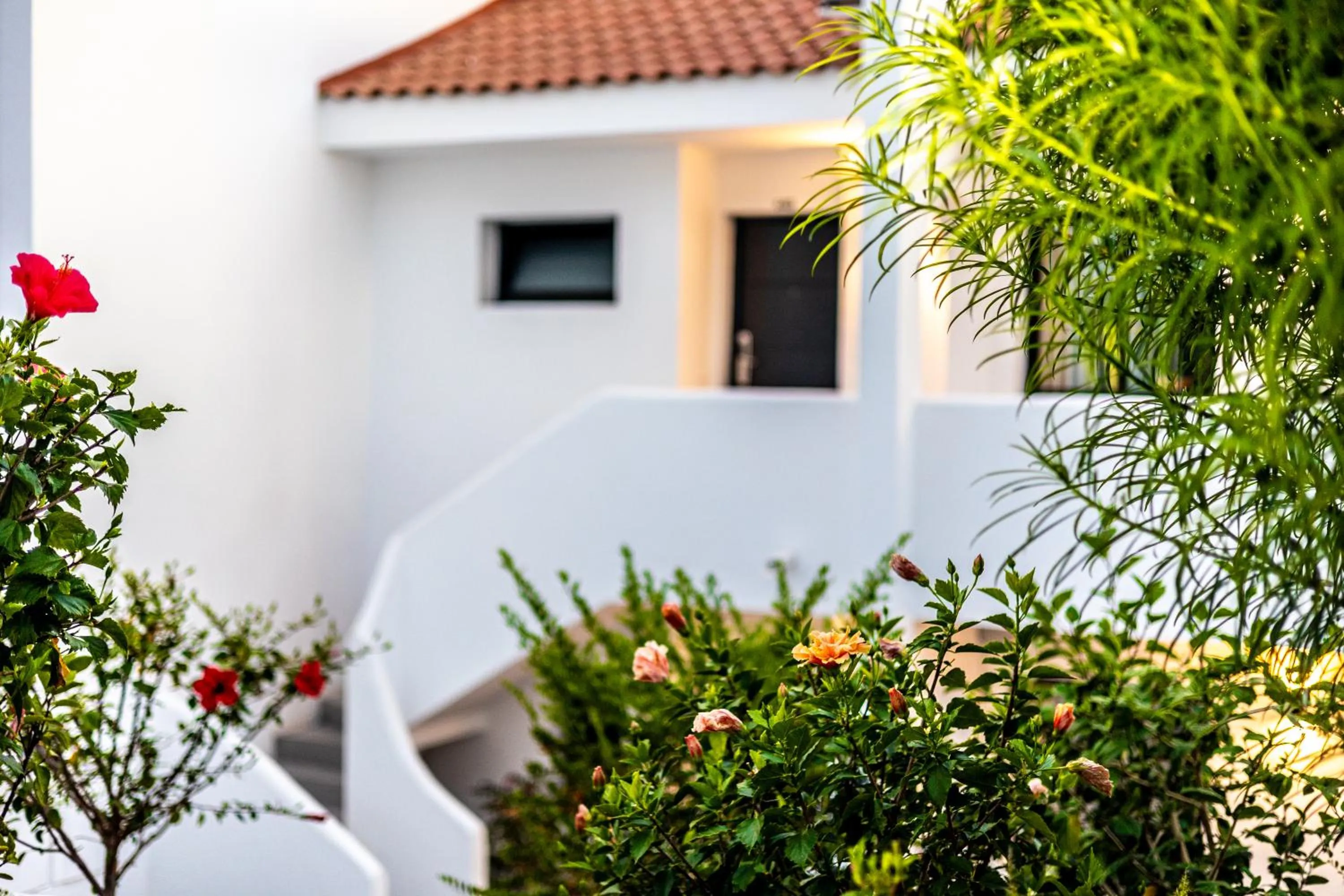 Garden in Costa Adeje Garden Aparthotel