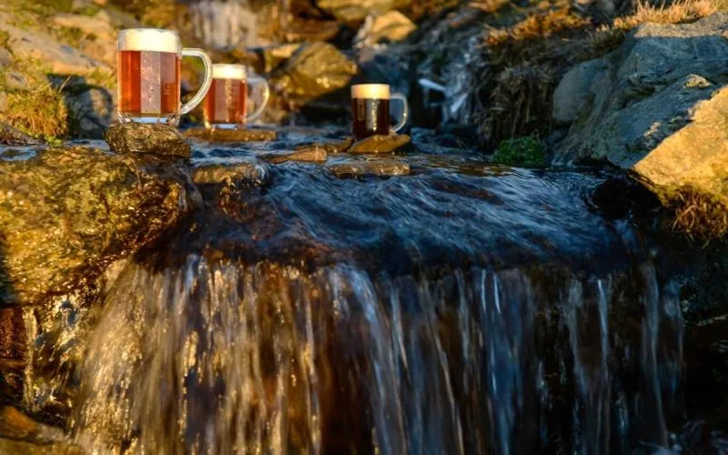 Summer in Horský Hotel Friesovy Boudy