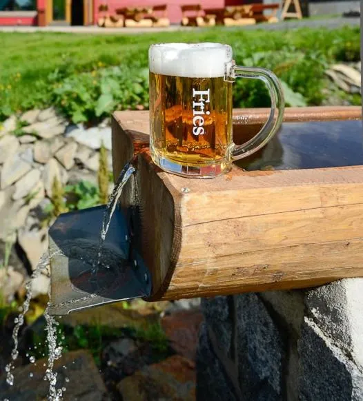 Summer in Horský Hotel Friesovy Boudy