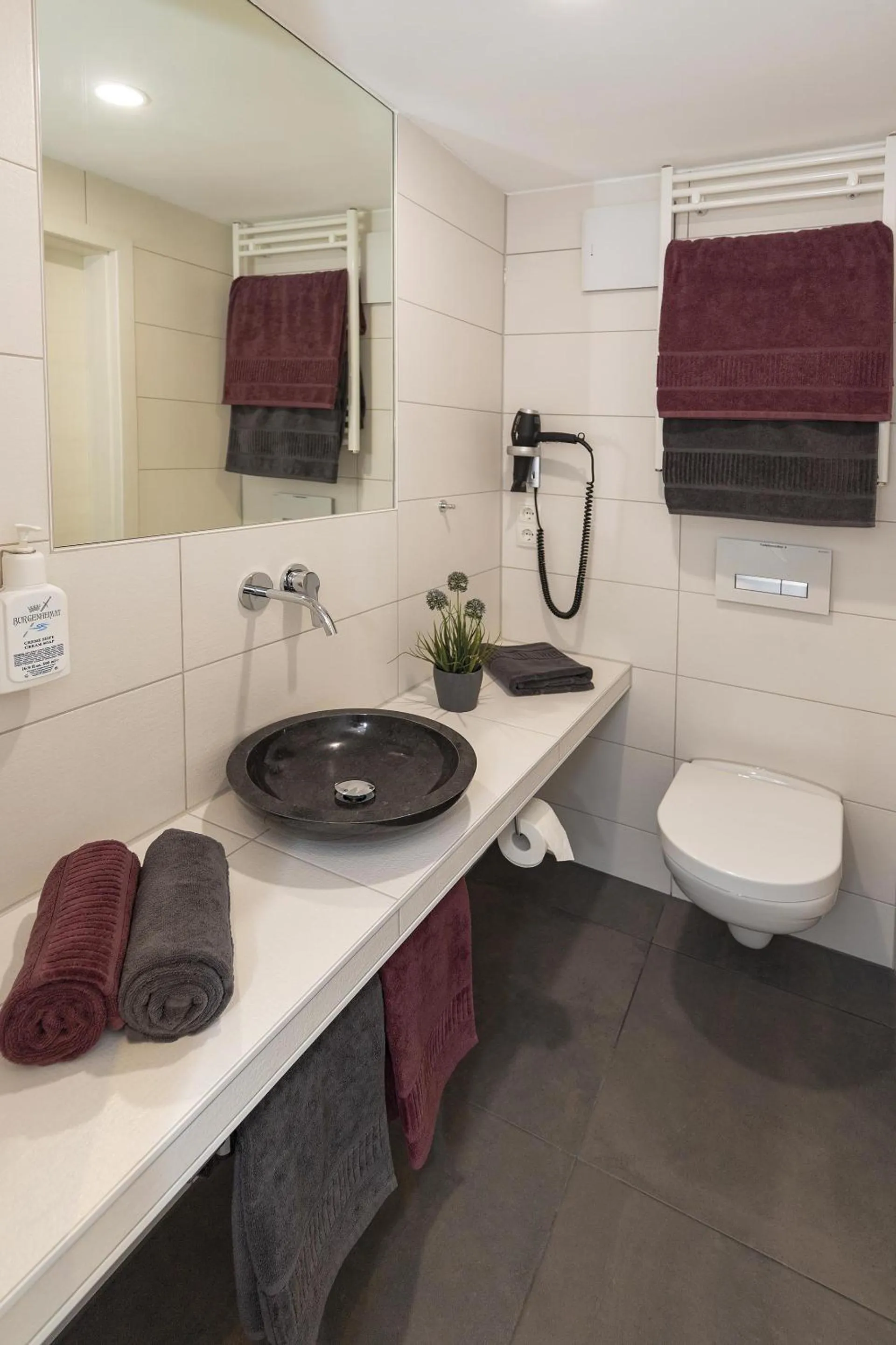 Toilet in Apartmenthaus Burgenheimat in Rhens bei Koblenz