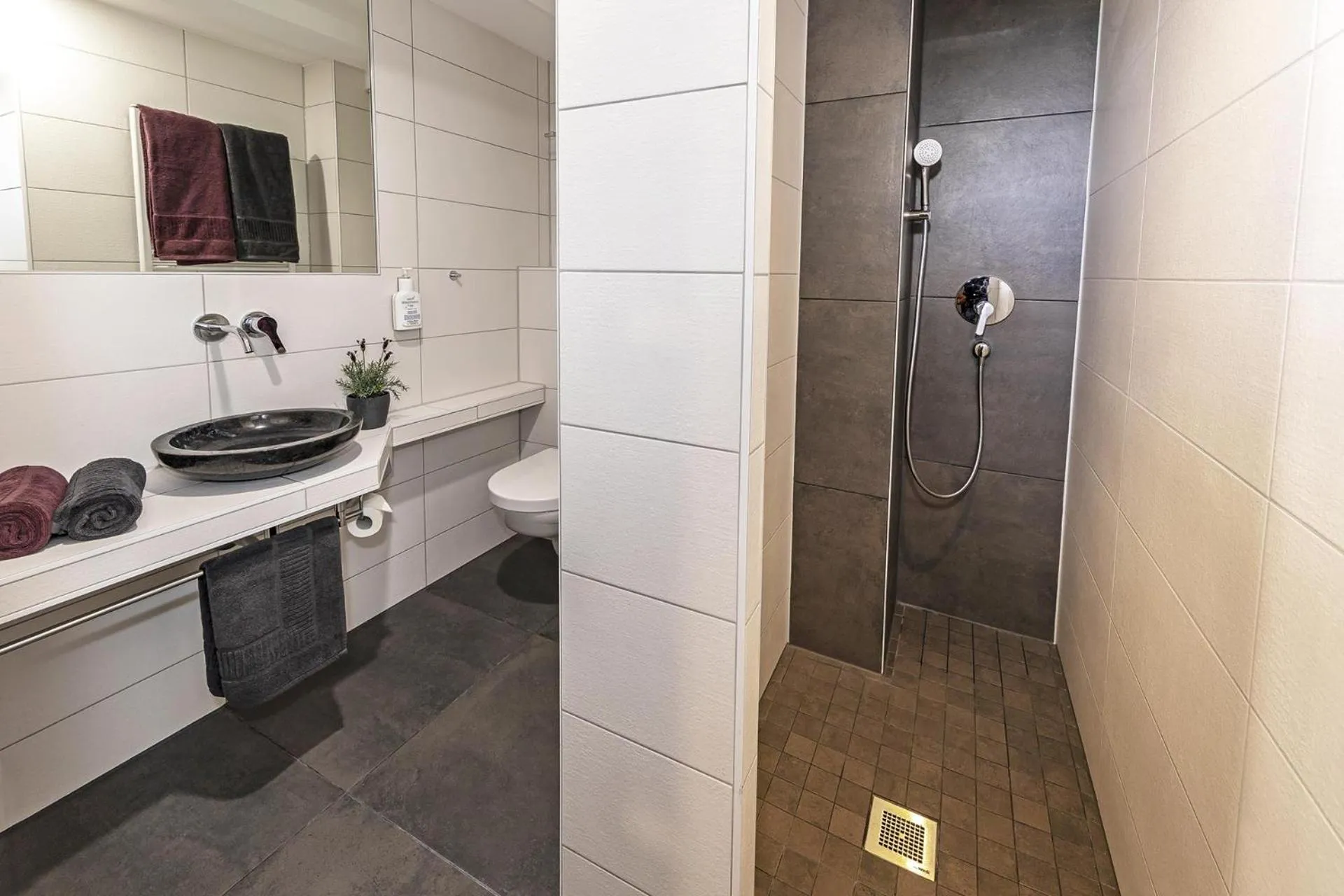 Shower in Apartmenthaus Burgenheimat in Rhens bei Koblenz