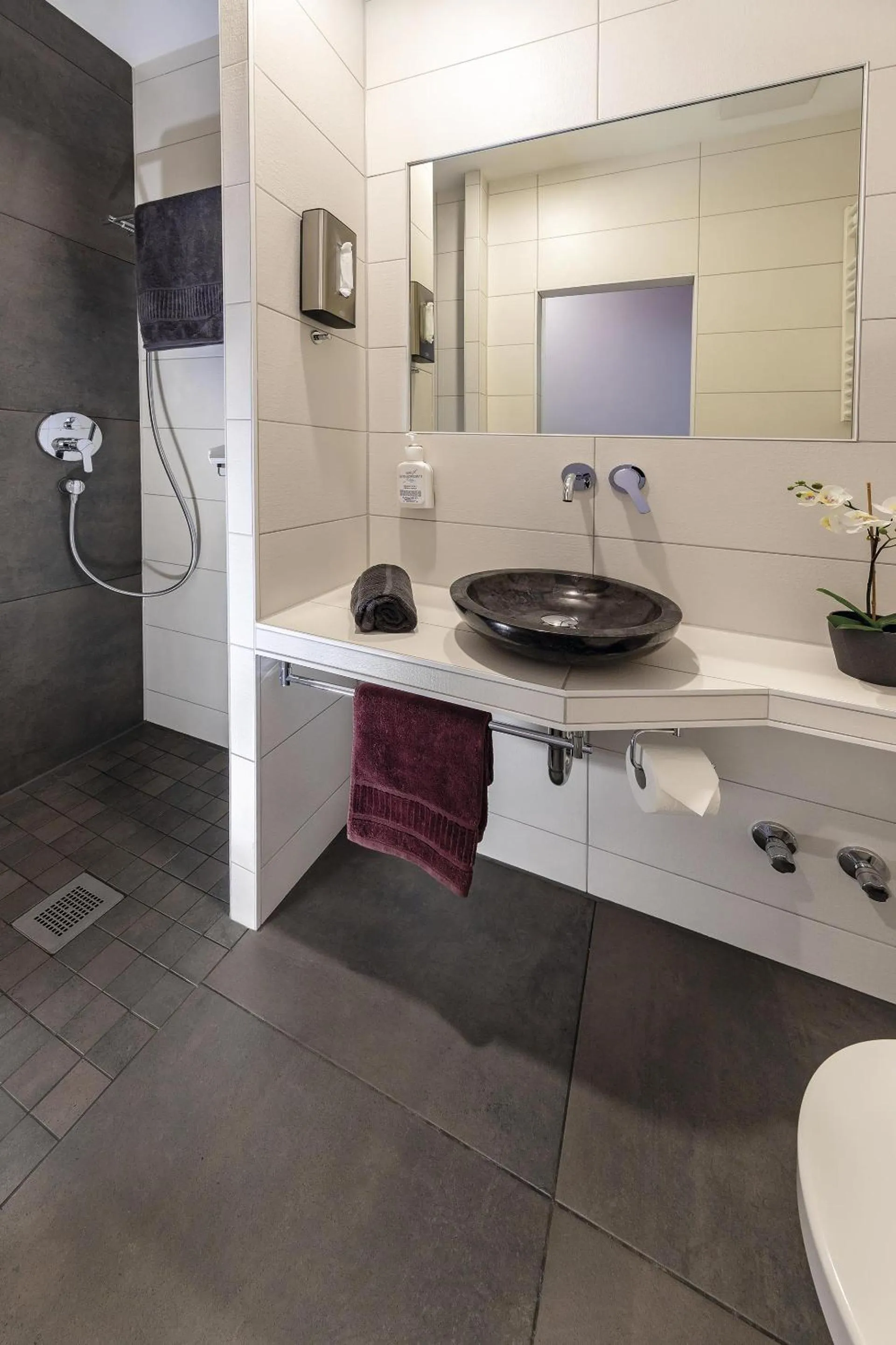 Shower in Apartmenthaus Burgenheimat in Rhens bei Koblenz