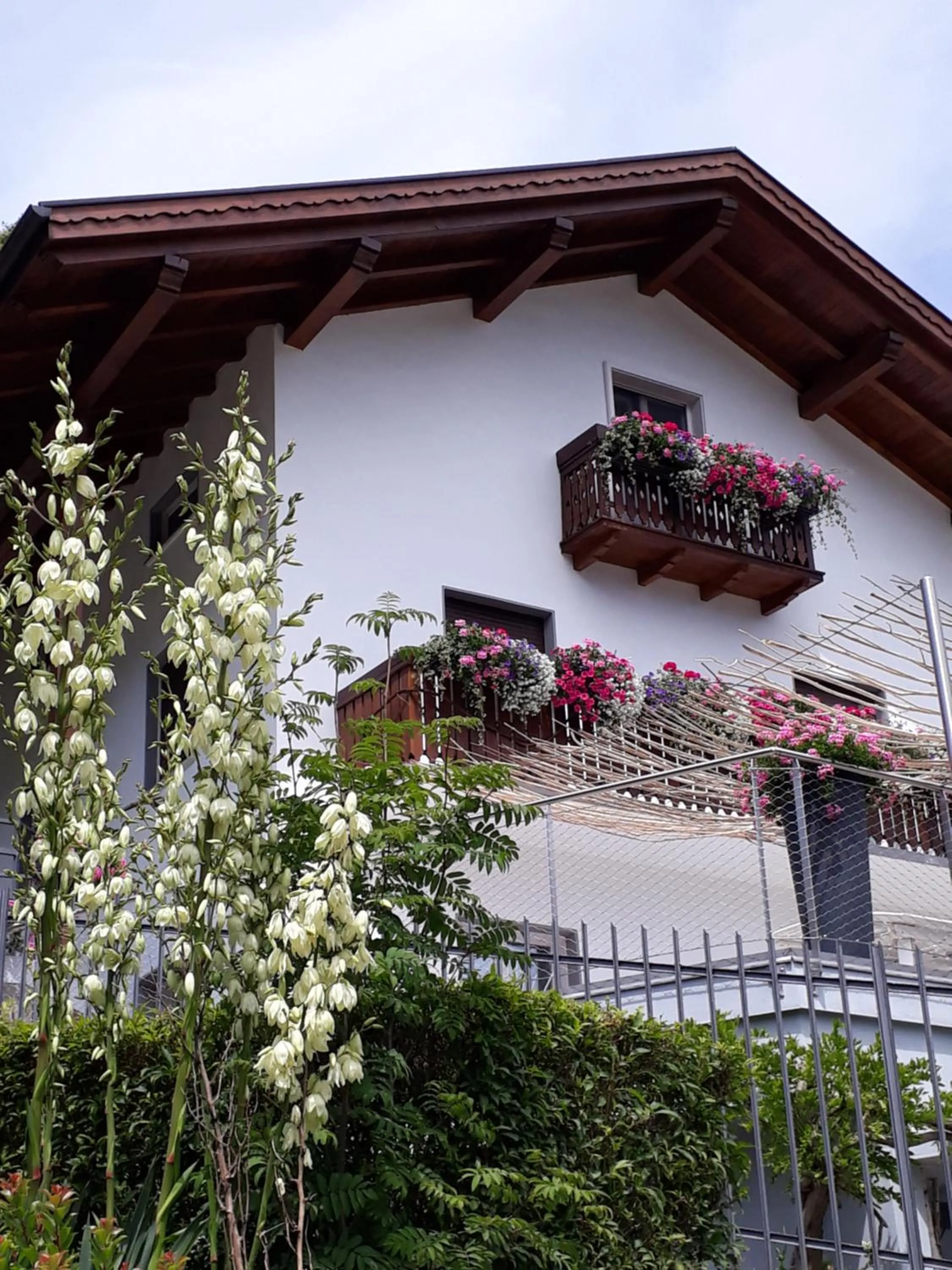 Property building in SaMeCà