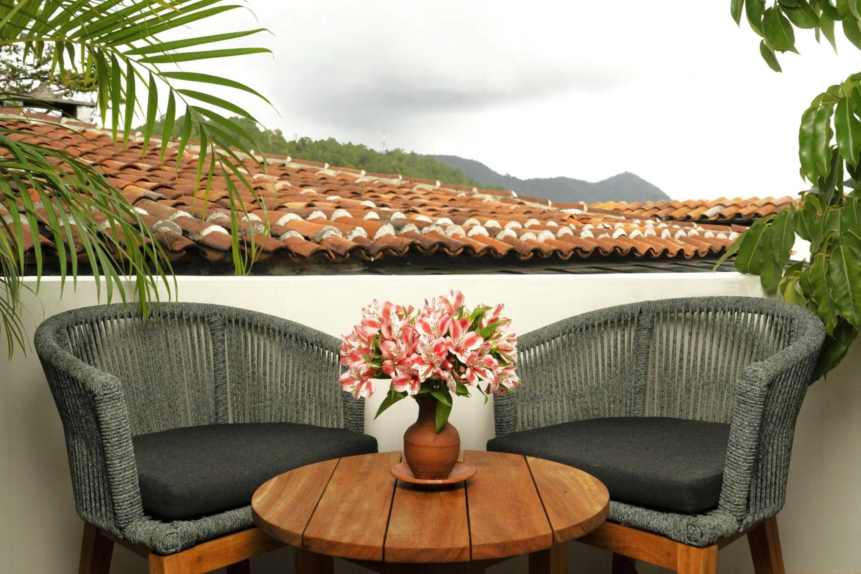 View (from property/room) in Sombra del Agua