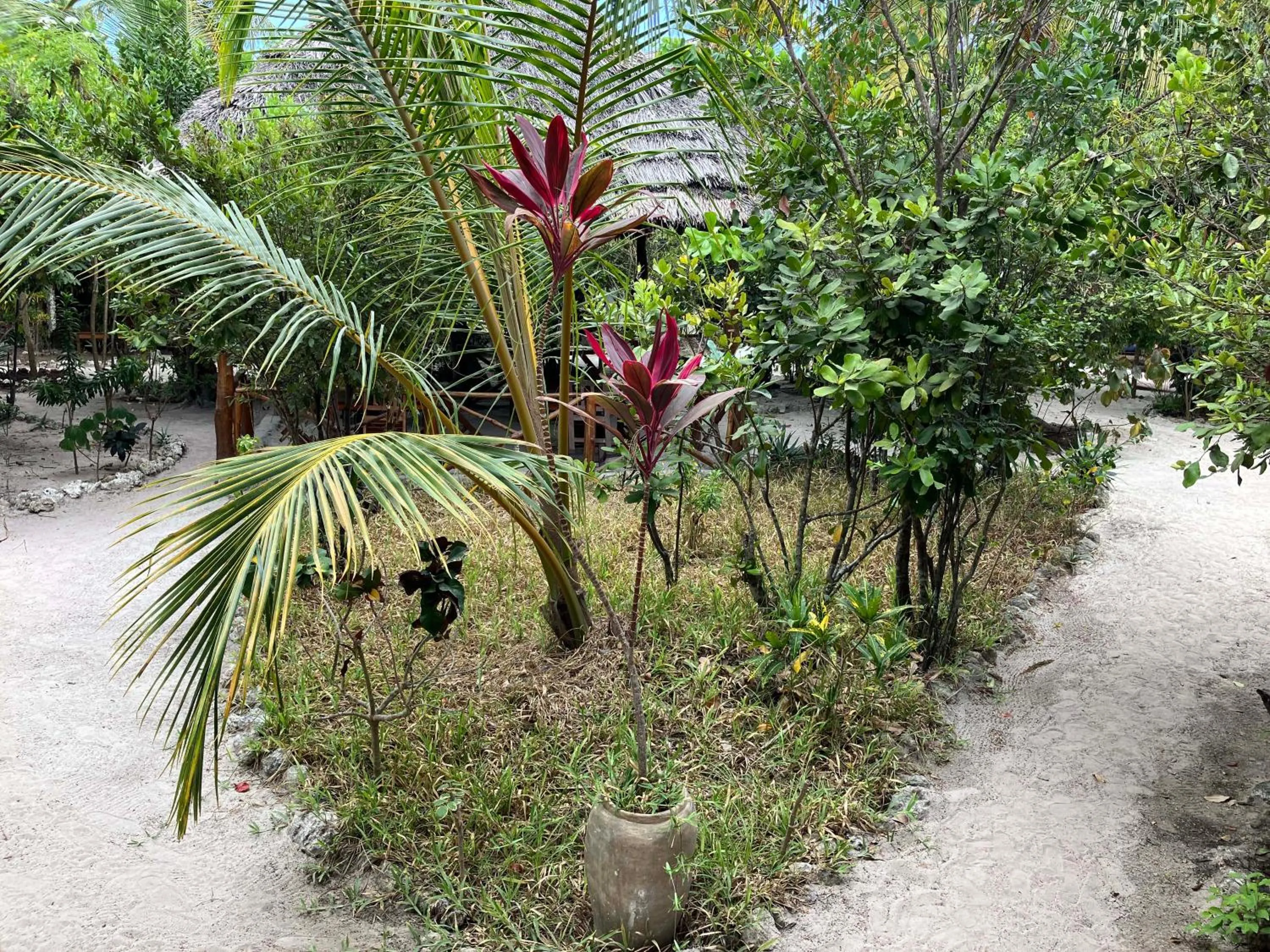 Garden in Mount Zion Lodge