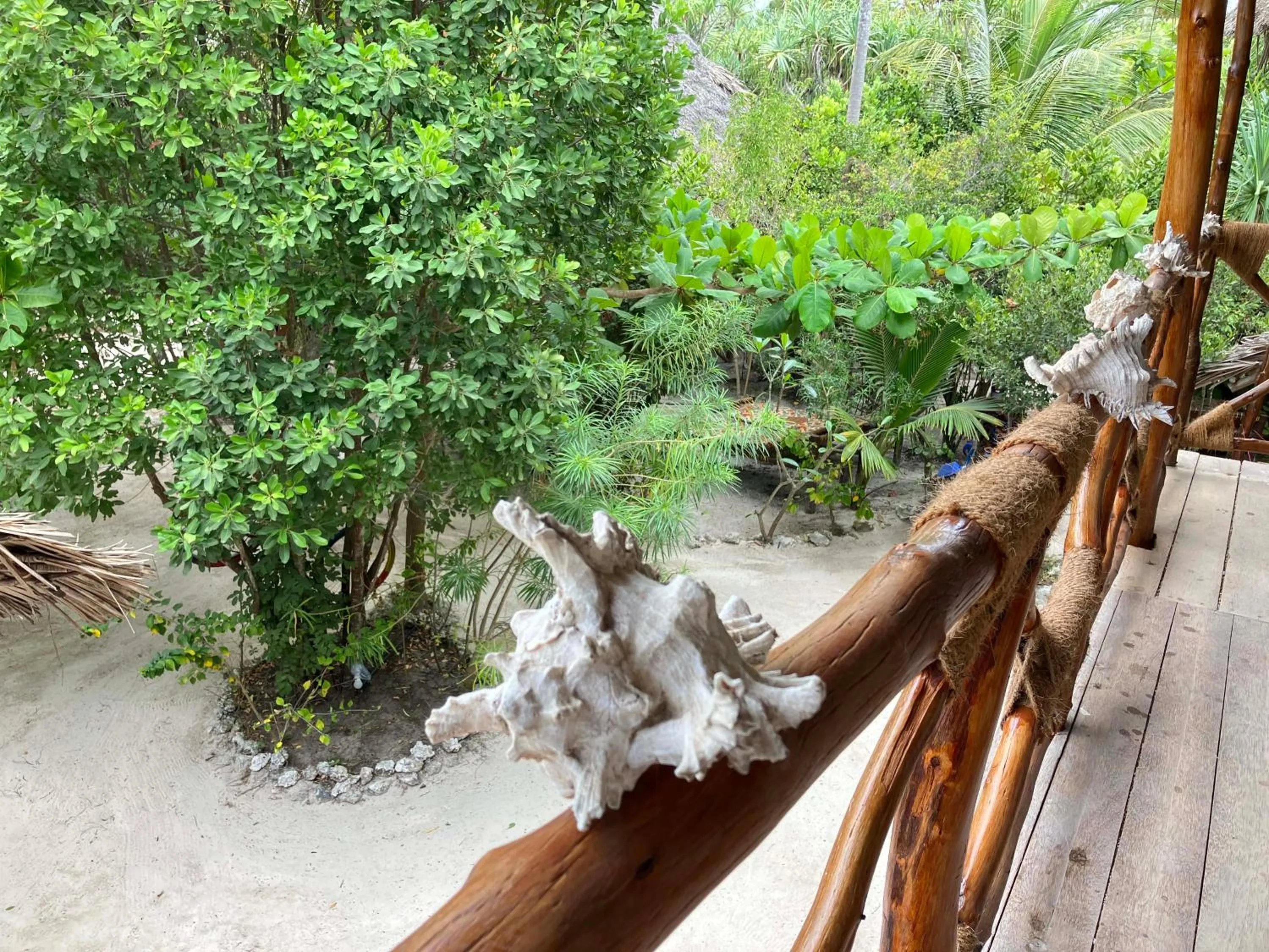 Garden view in Mount Zion Lodge