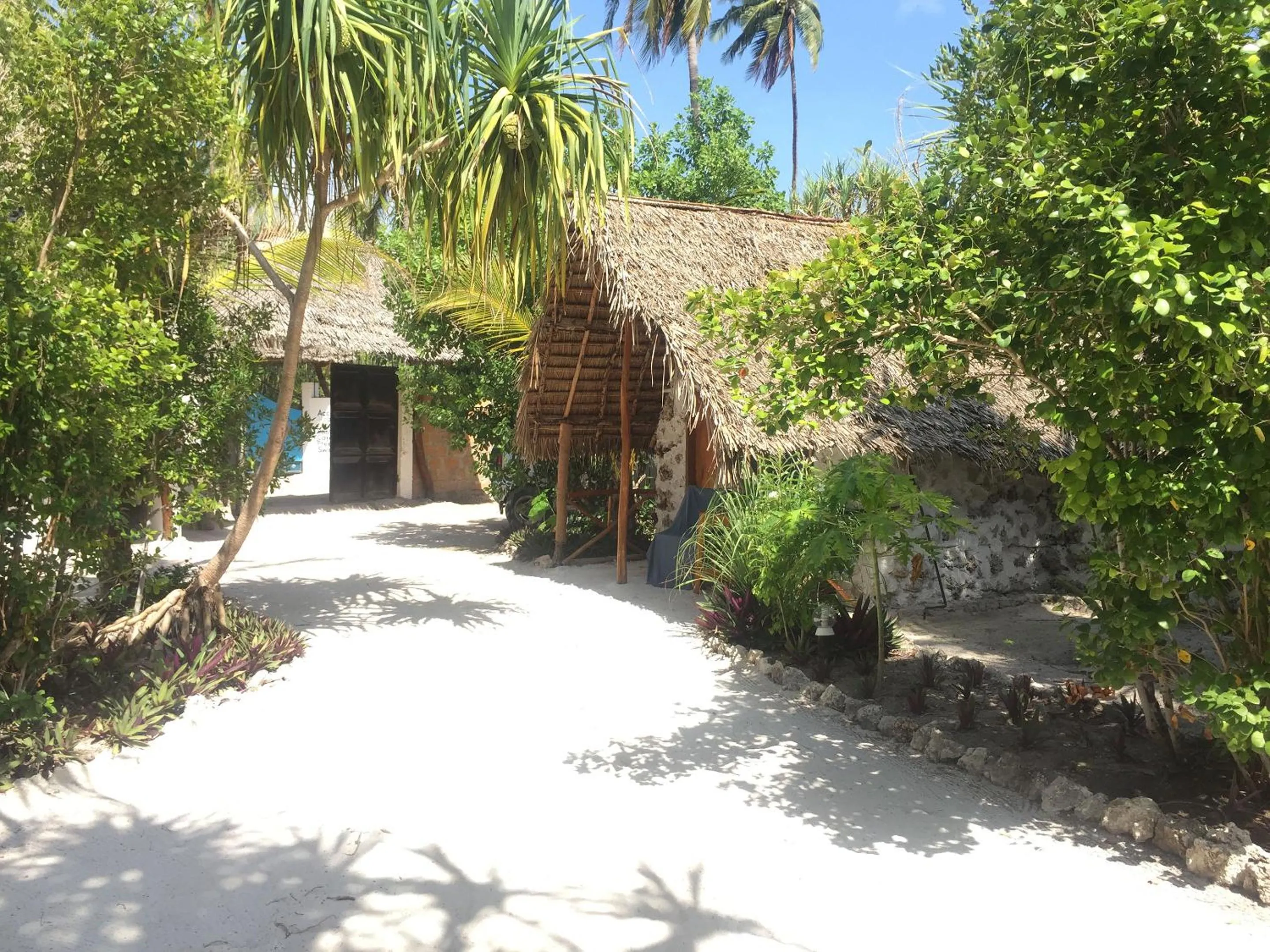 Garden view in Mount Zion Lodge