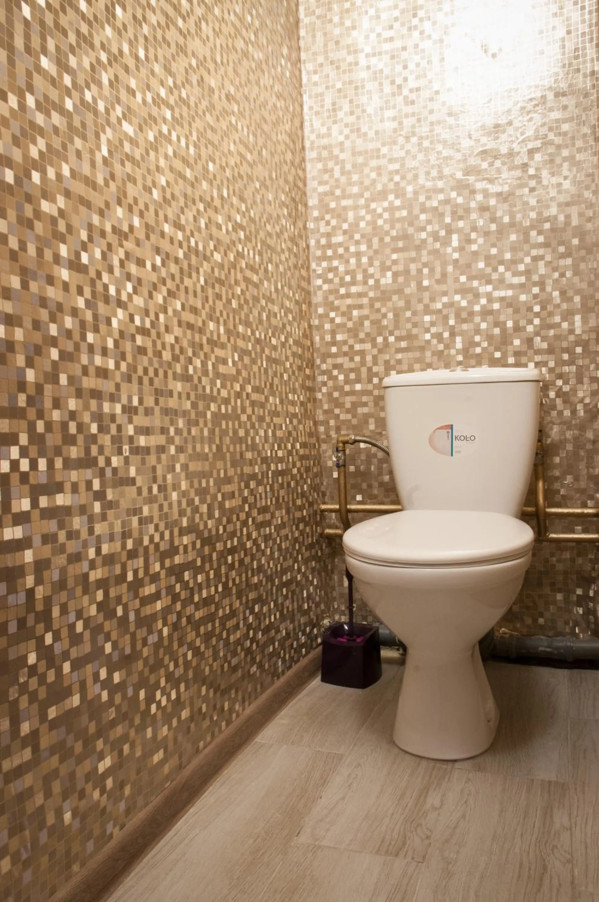 Toilet in Scandinavian Poltava Apartments with 2 rooms, 3 beds 1 sofa