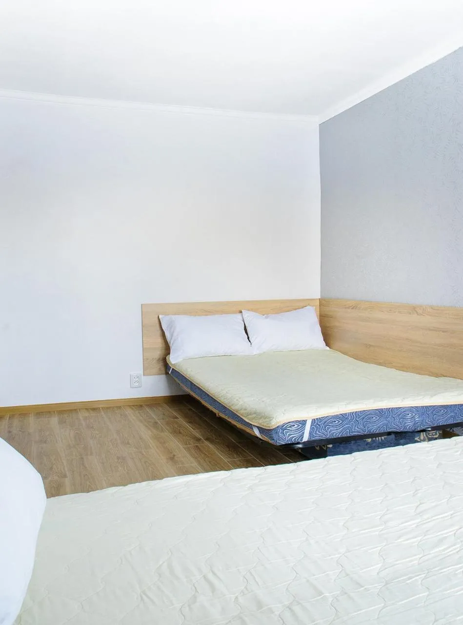 bunk bed, Bed in Scandinavian Poltava Apartments with 2 rooms, 3 beds 1 sofa
