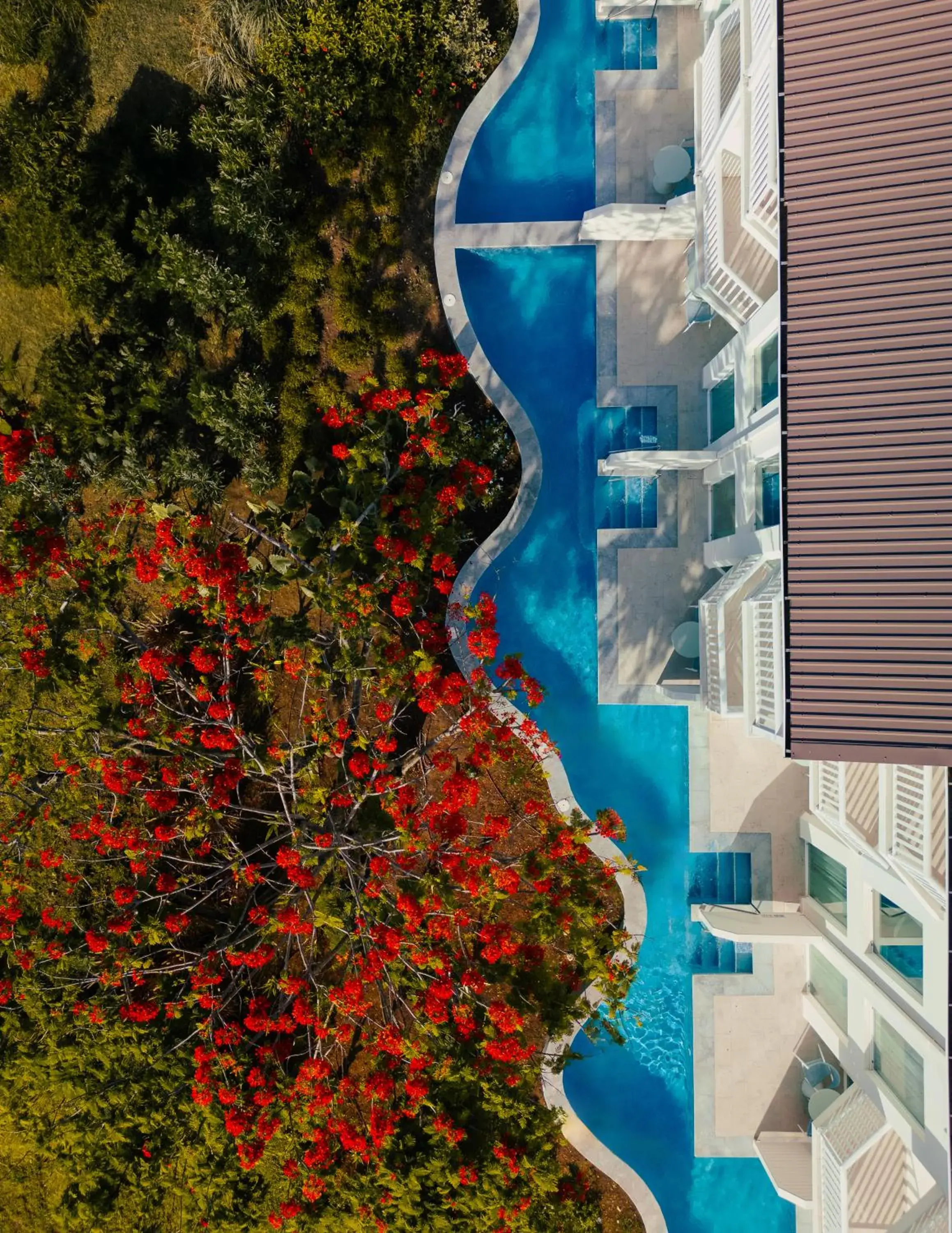 Swimming pool in Secrets Saint Lucia Resort & Spa - All Inclusive Swimming pool in Secrets Saint Lucia Resort & Spa - All Inclusive
