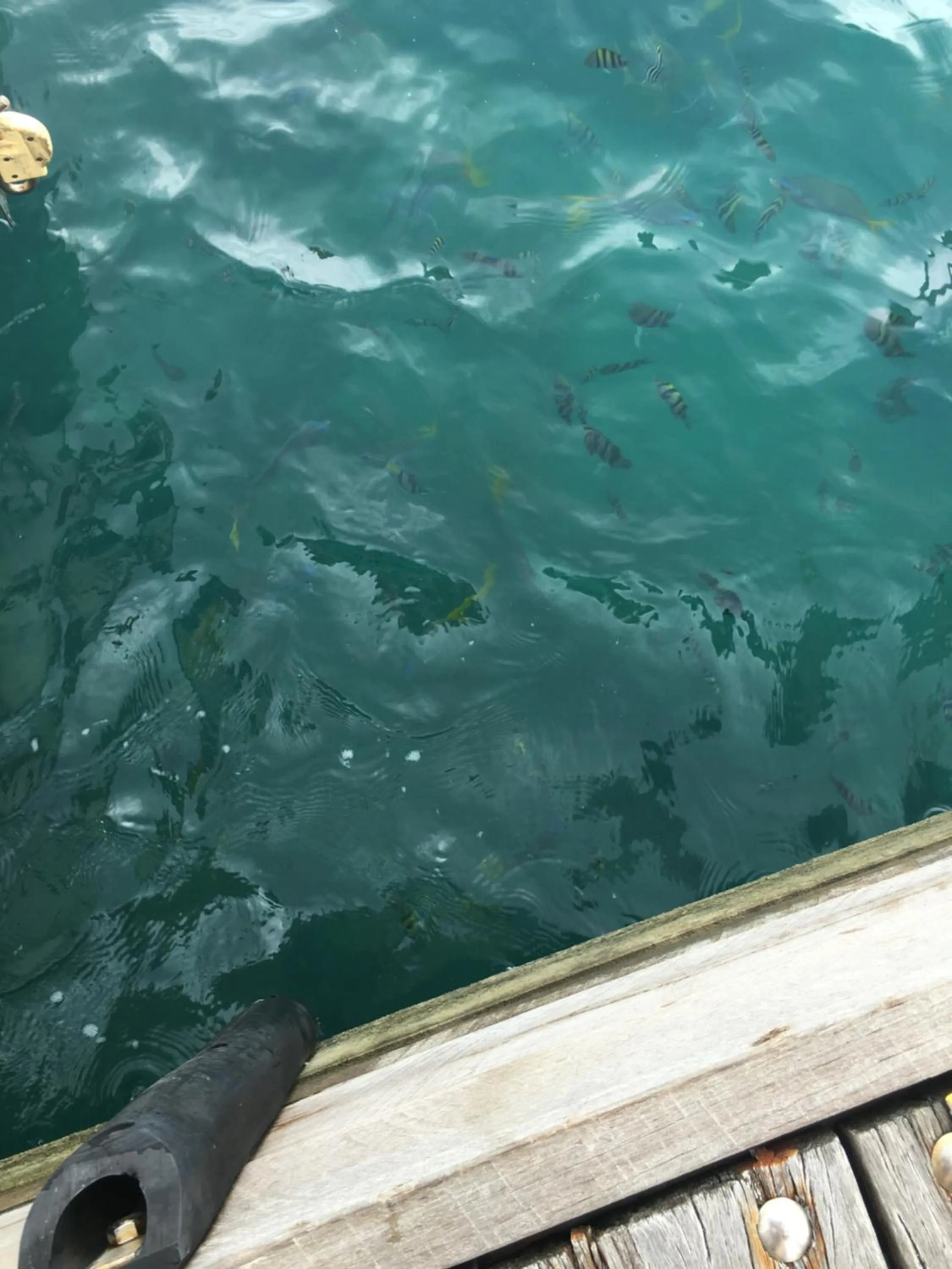 Landmark view in Hinchinbrook Resorts Management Pty Ltd