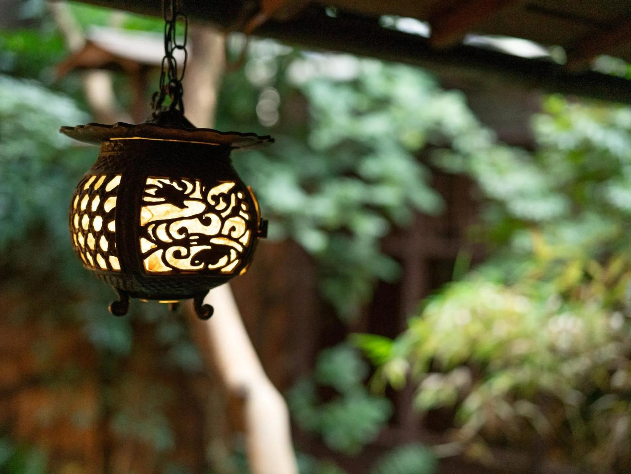 Area and facilities in Guest House Waraku-An