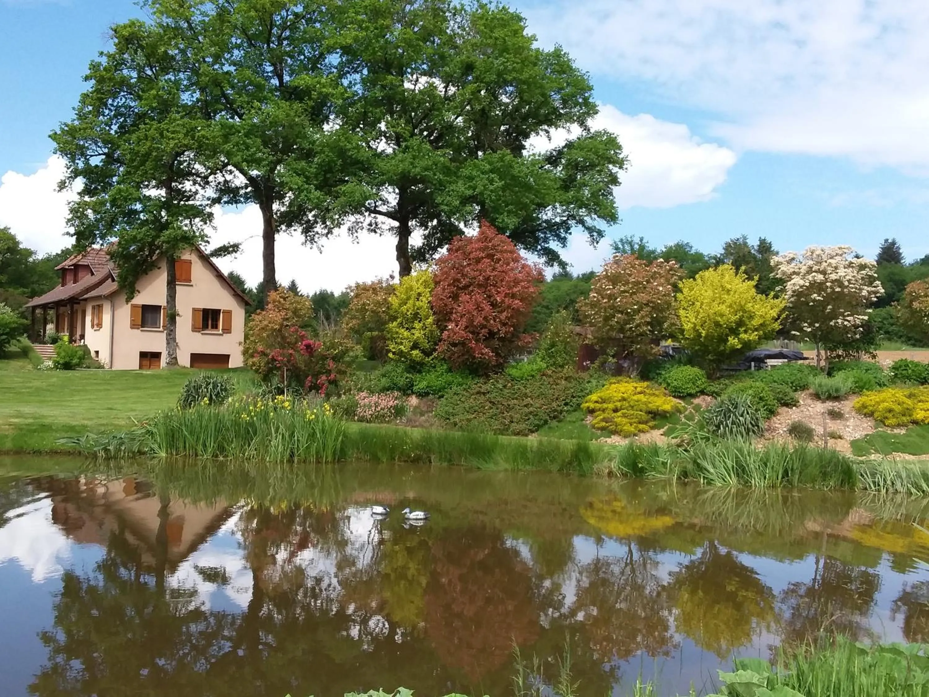 Garden view in Maison Maton