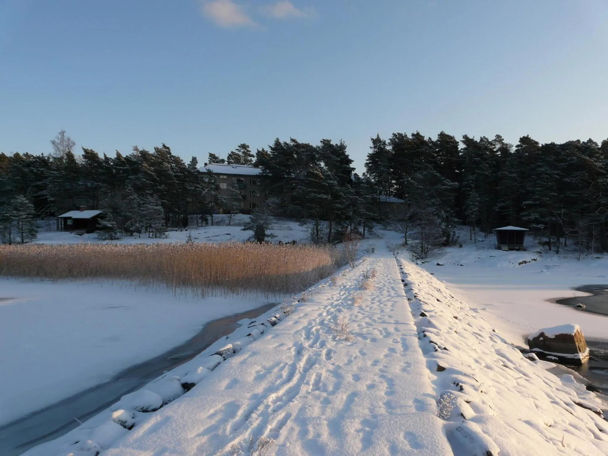 View (from property/room) in Hotel Sofia