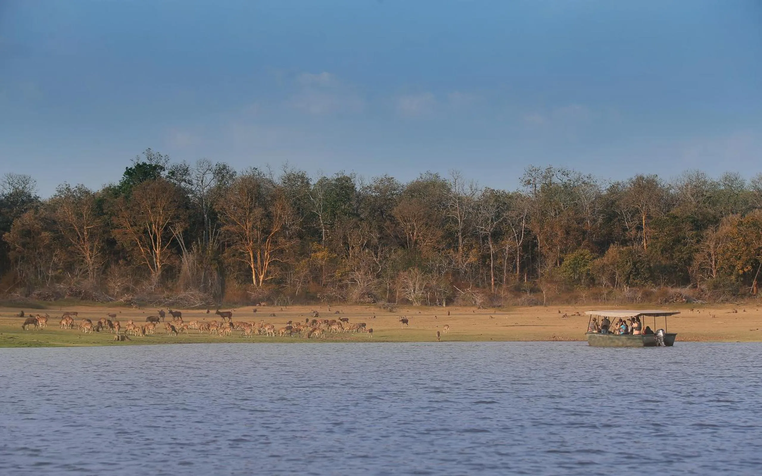 Natural landscape in Evolve Back Kabini