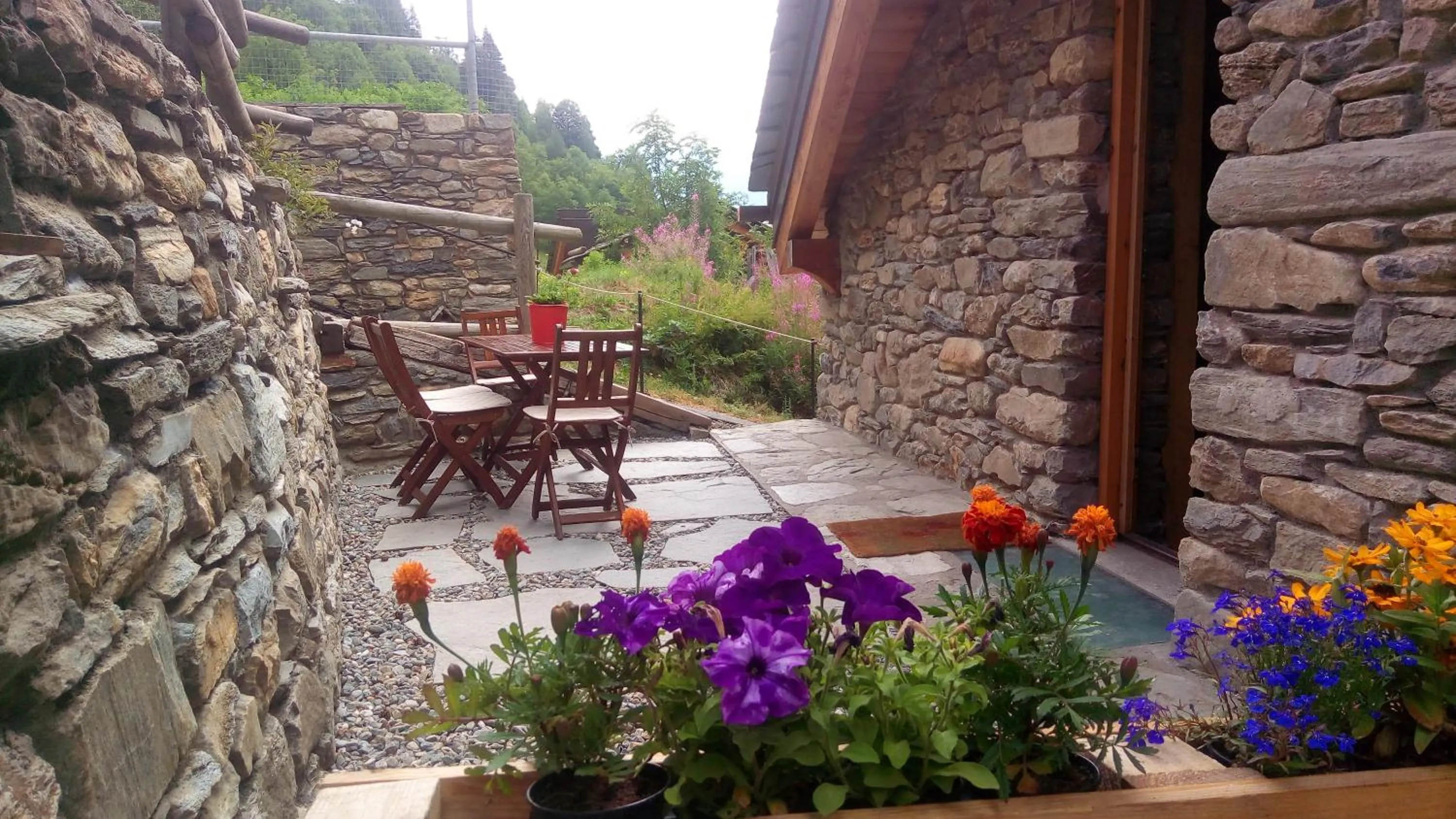 Garden in Nuit a Pleiney