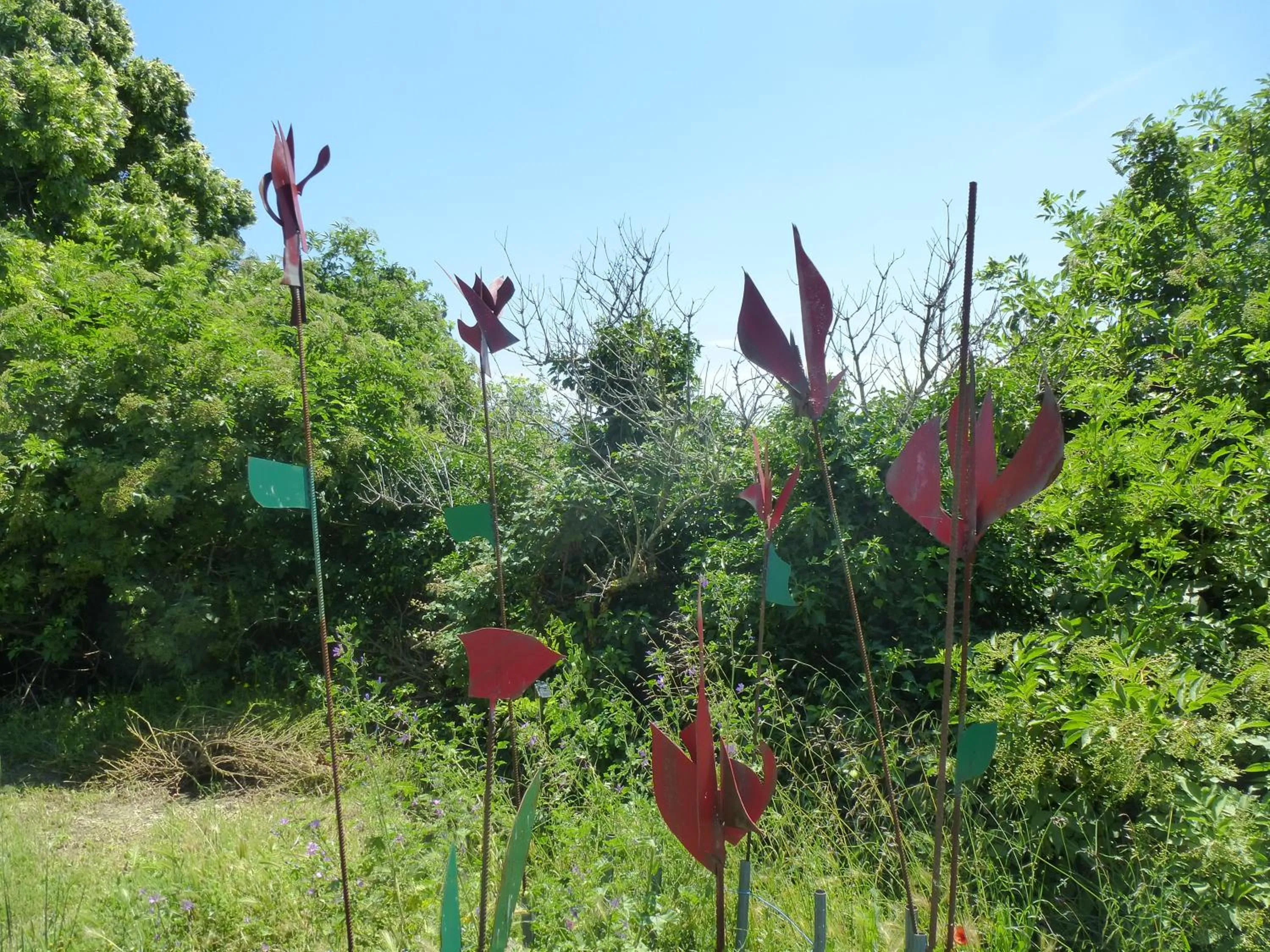 Garden view in tempepailla