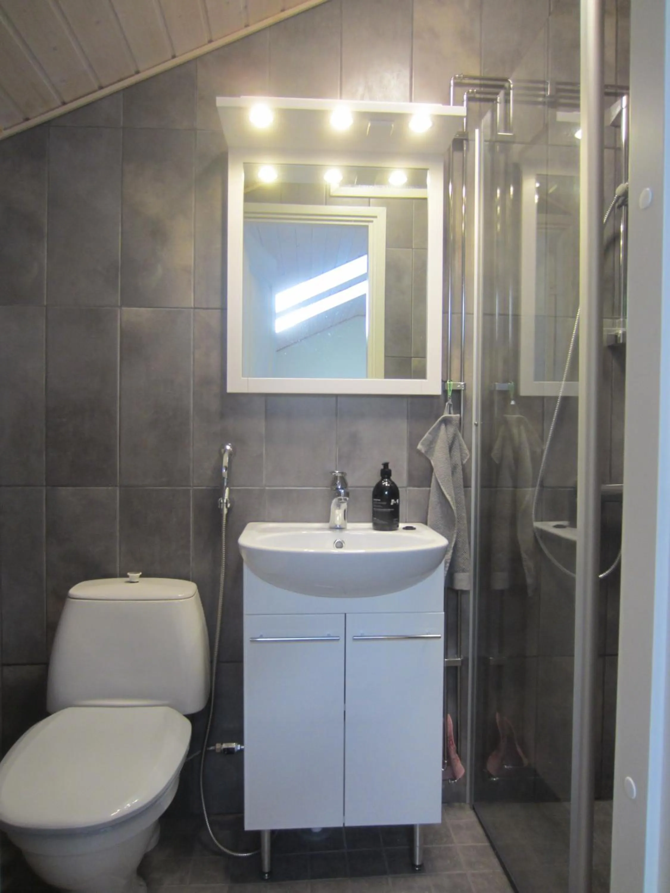 Toilet in Apartment Hotel Kuukkarin Kortteeri