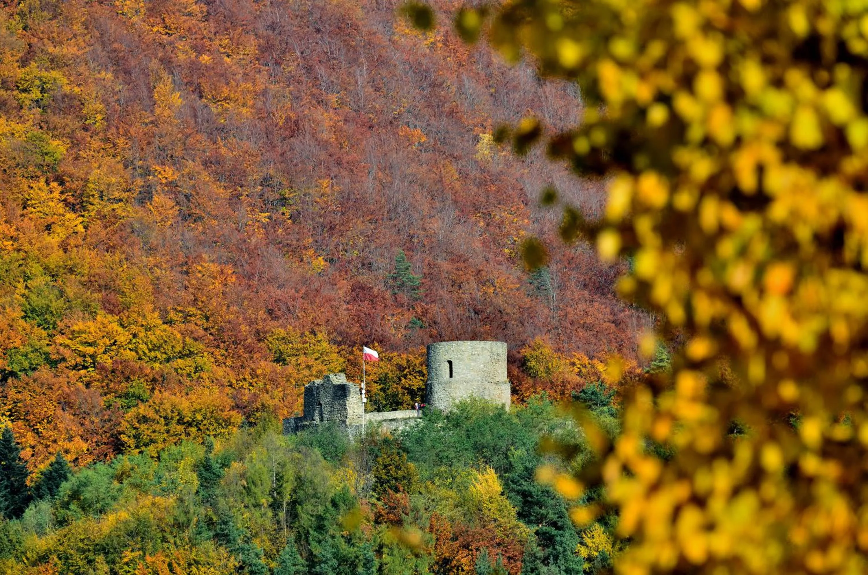Neighbourhood in Hotel Perła Południa