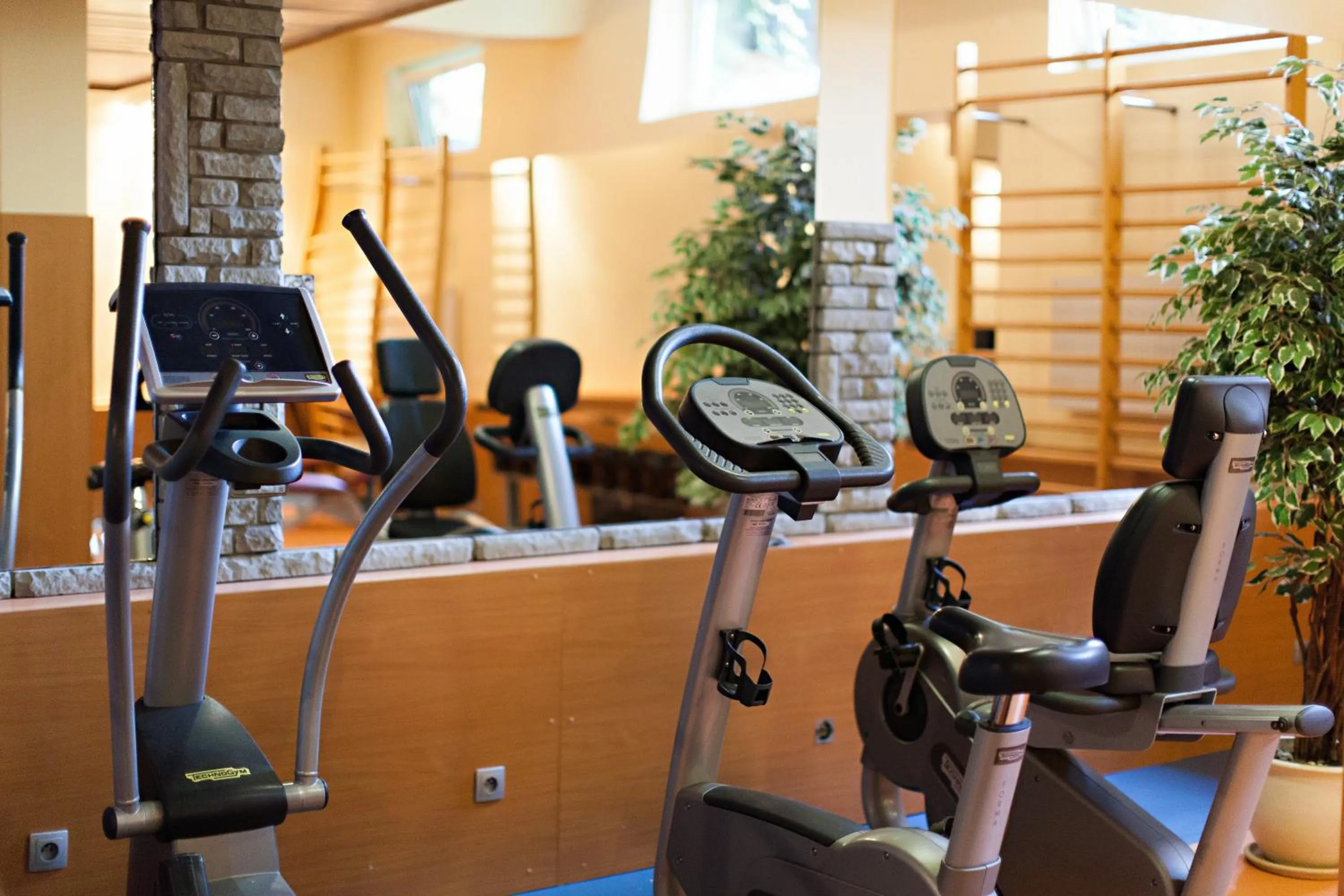Fitness centre/facilities in Hotel Perła Południa