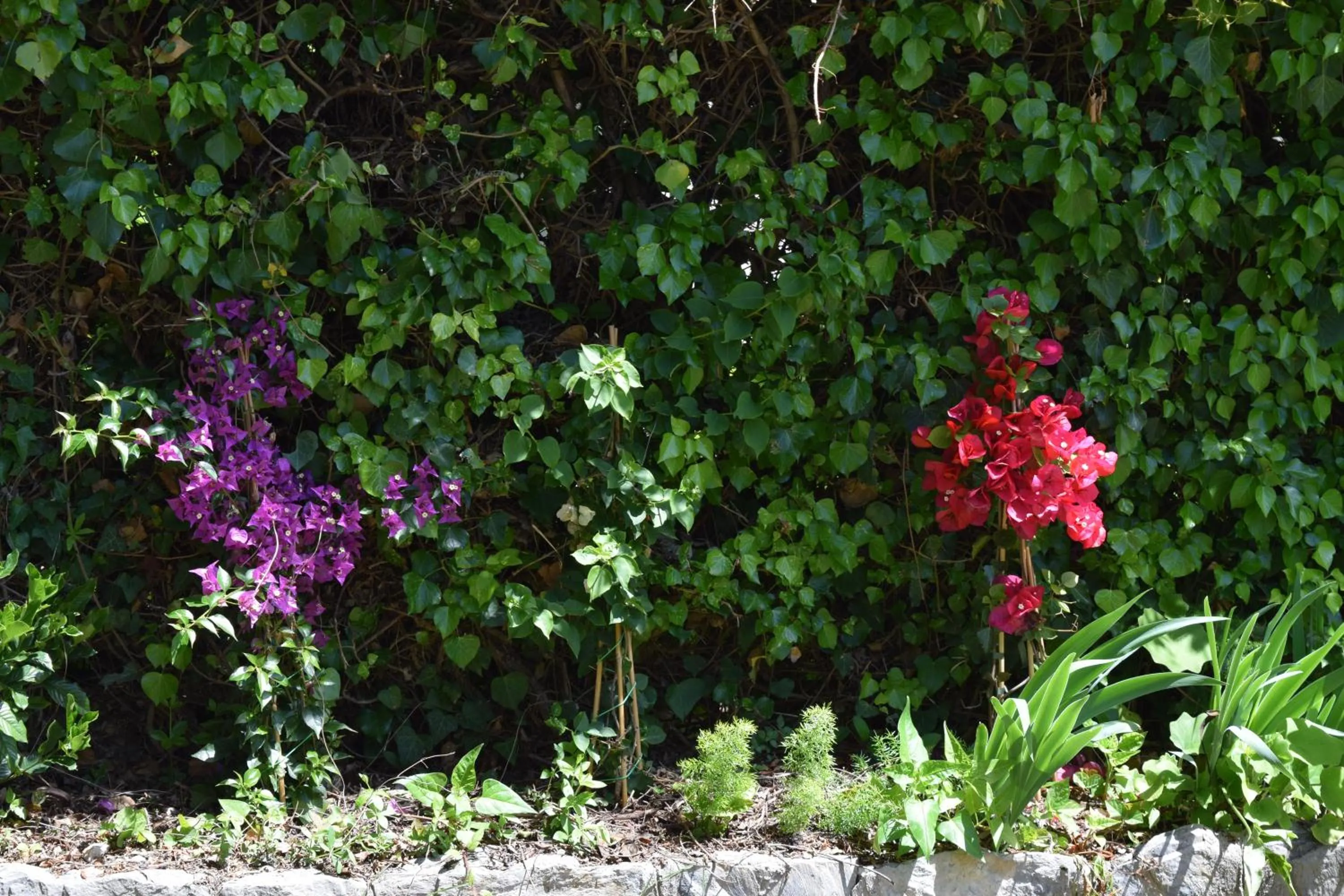 Summer in Villa Il Respiro