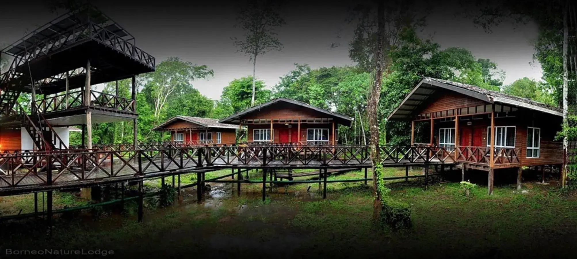 Property building in Borneo Nature Lodge Property building in Borneo Nature Lodge