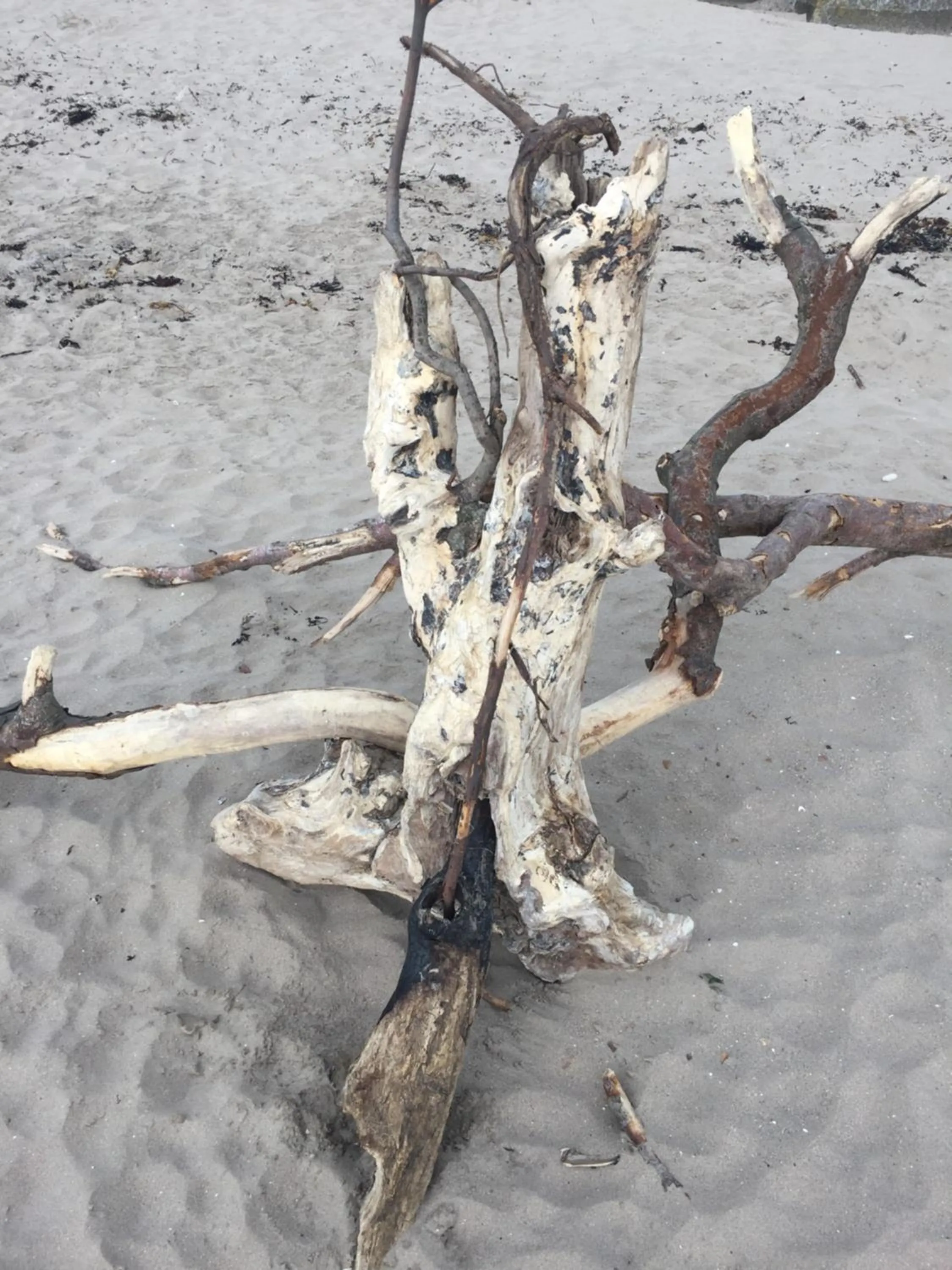 Natural landscape in ByTheSea Guest House License SA-00247-F