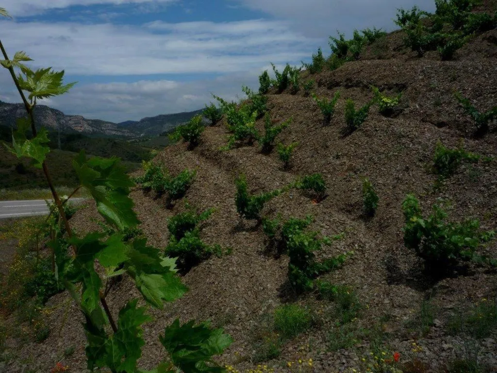 Nearby landmark in Hotel Cal Llop