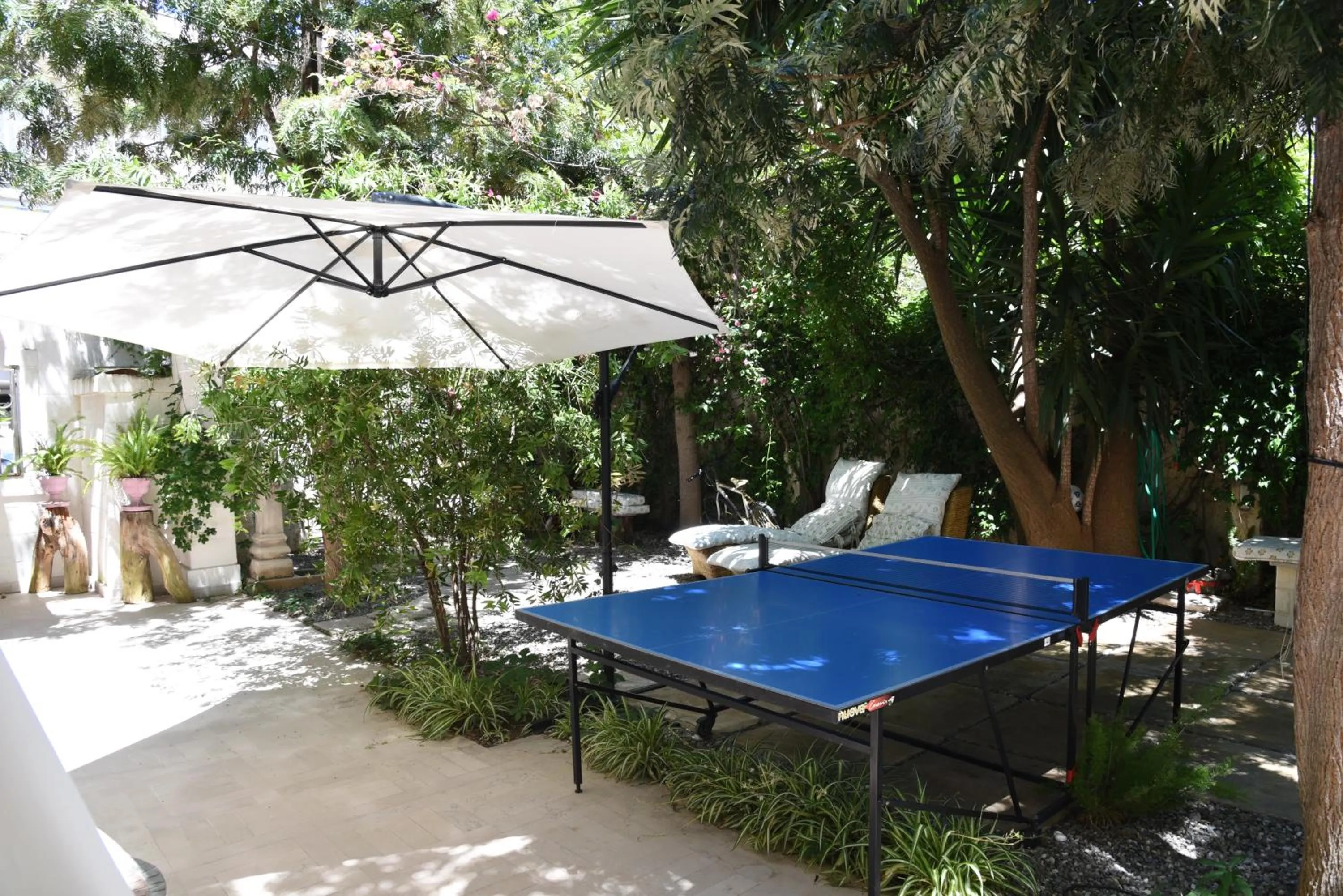 Garden in B&B Al Vecchio Glicine