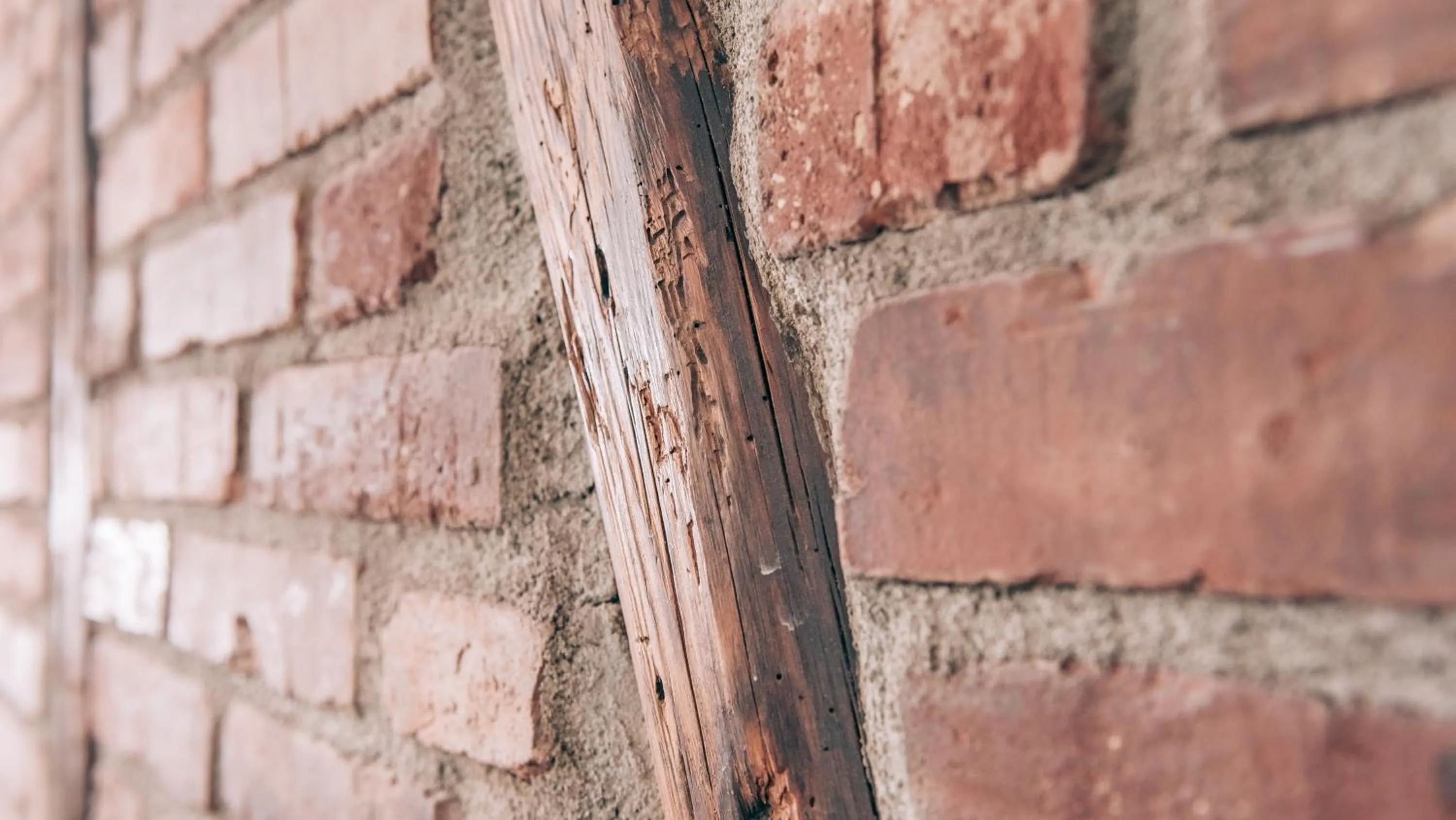 Property building in Biohotel Kunstquartier