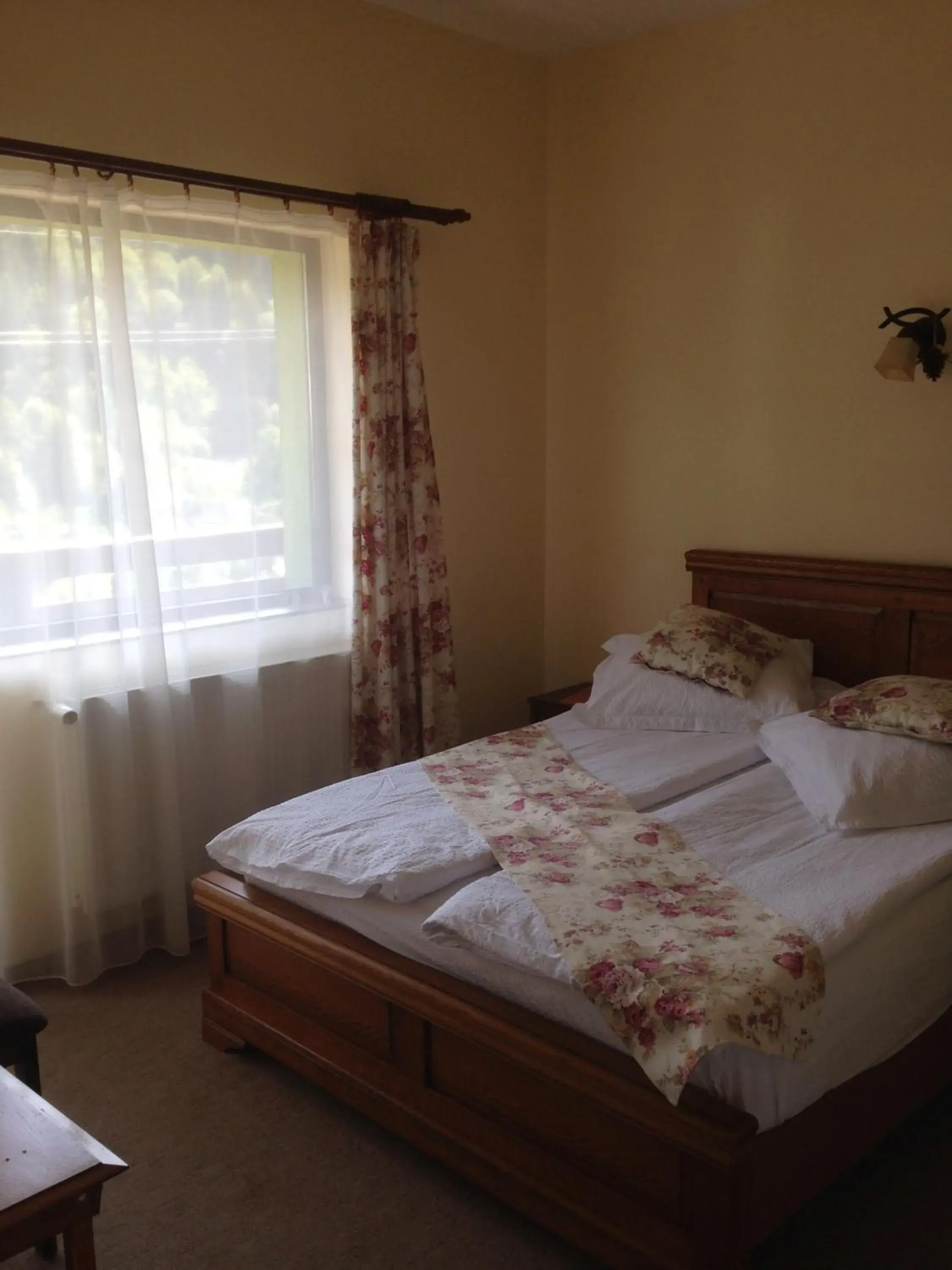 Double Room with Balcony in Pensiunea Ana Double Room with Balcony in Pensiunea Ana