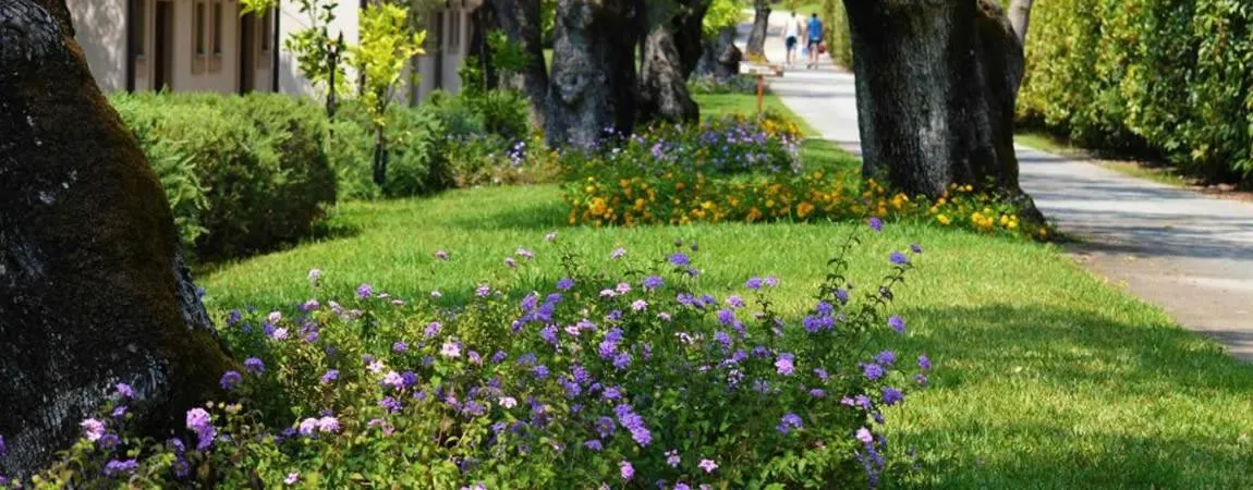 Property building in Villaggio Blue Marine