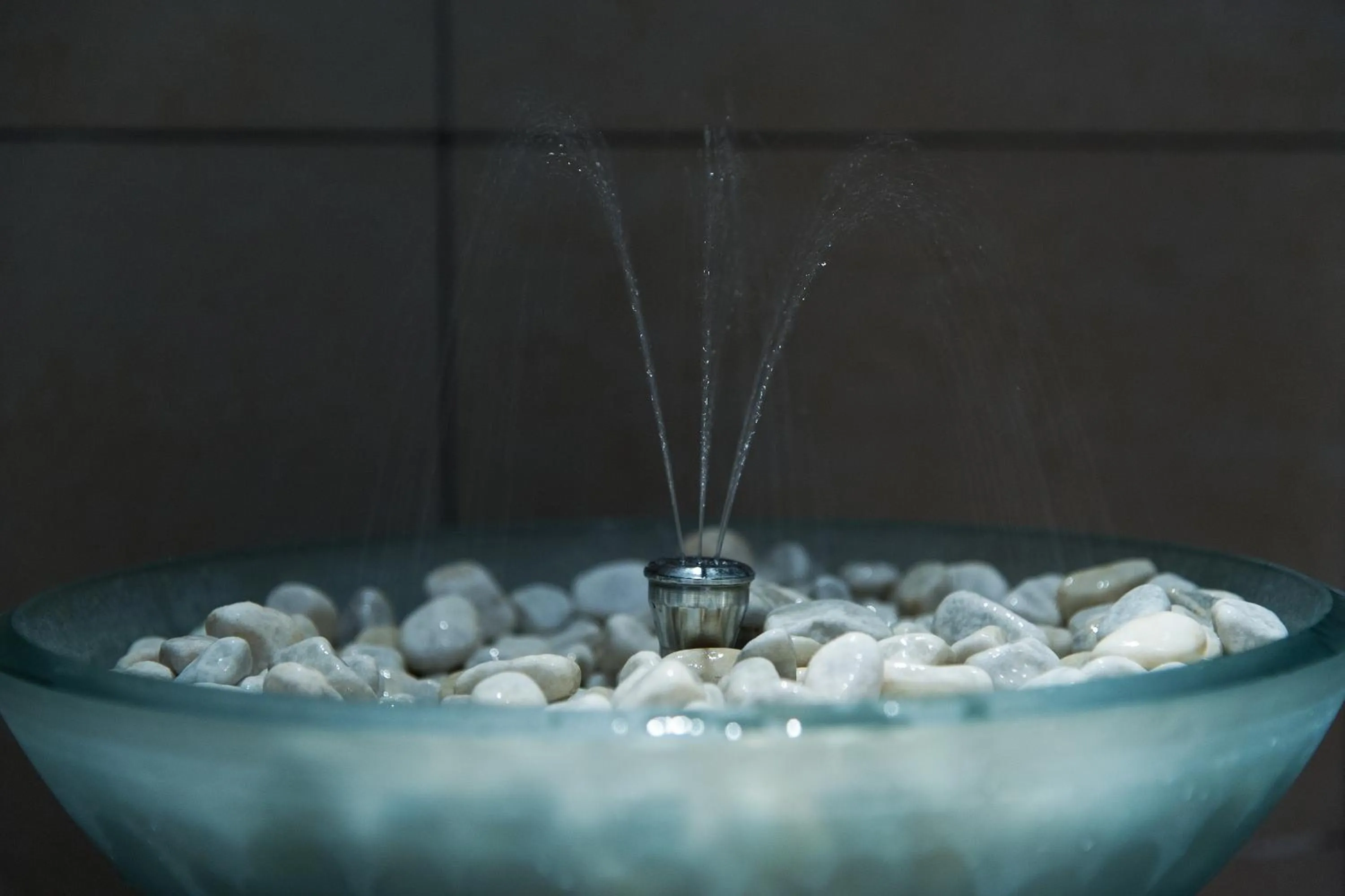 Steam room in Hotel Gran Mugon