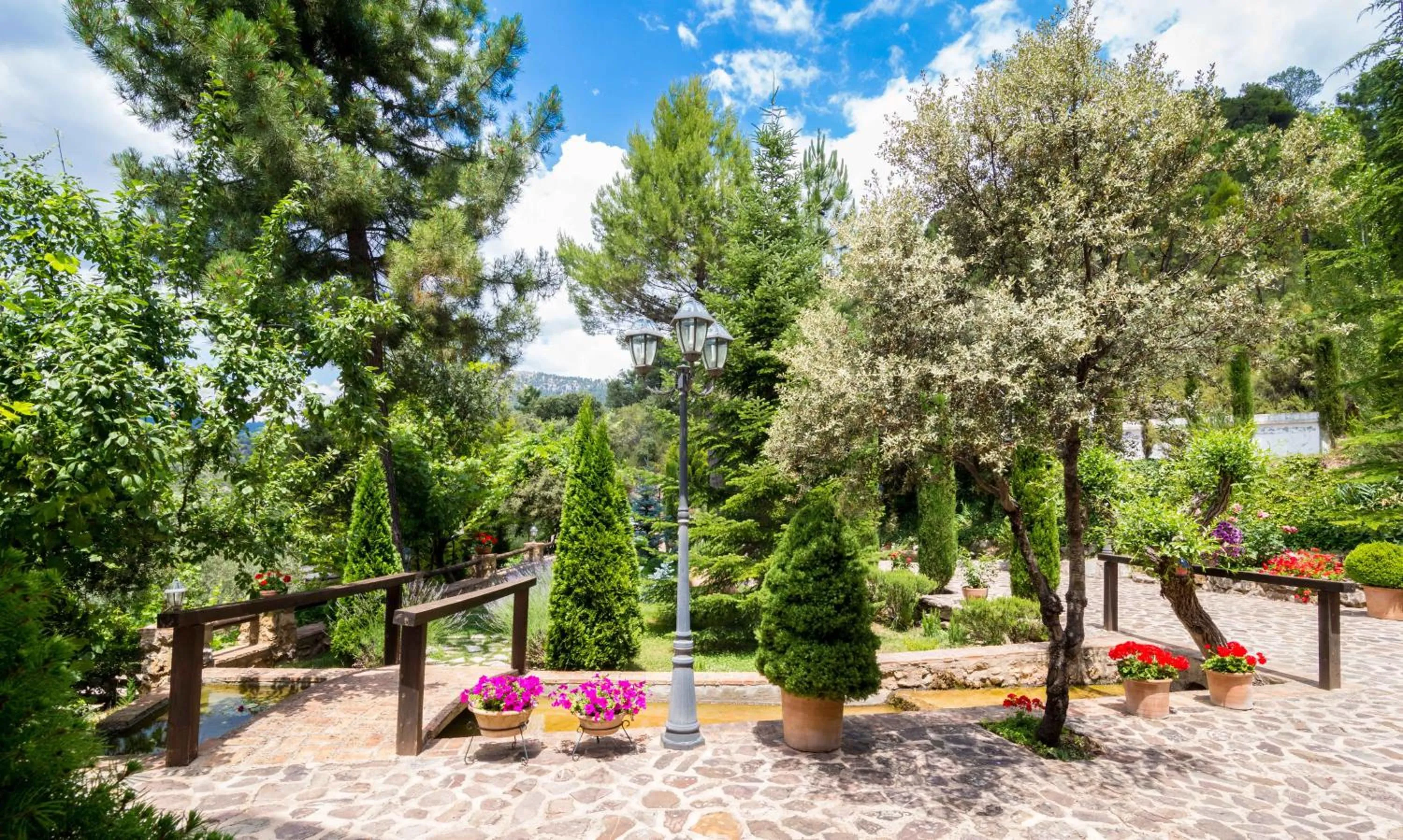 Garden in Hotel de Montaña Cueva Ahumada