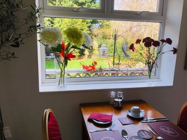 Garden view in Avonpark House