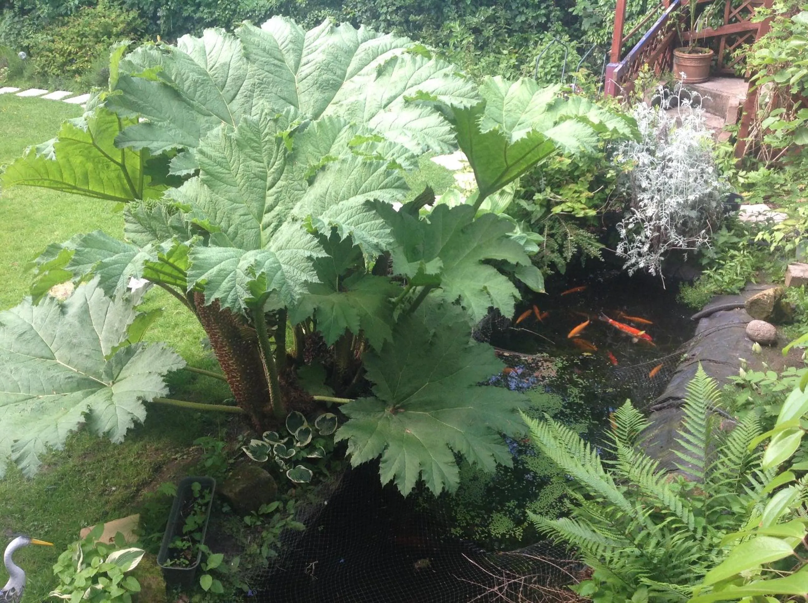 Balcony/Terrace in Avonpark House