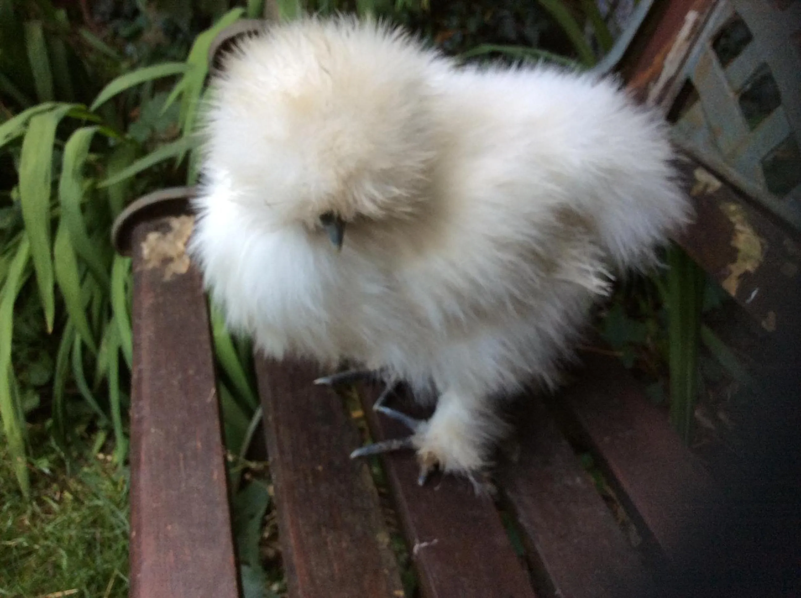 Other in Avonpark House