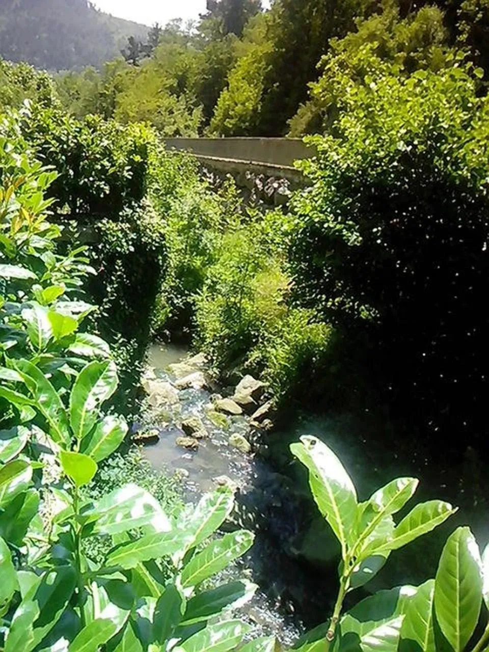 Area and facilities in Hotel Boutique Txanka Erreka PARKING INCLUIDO