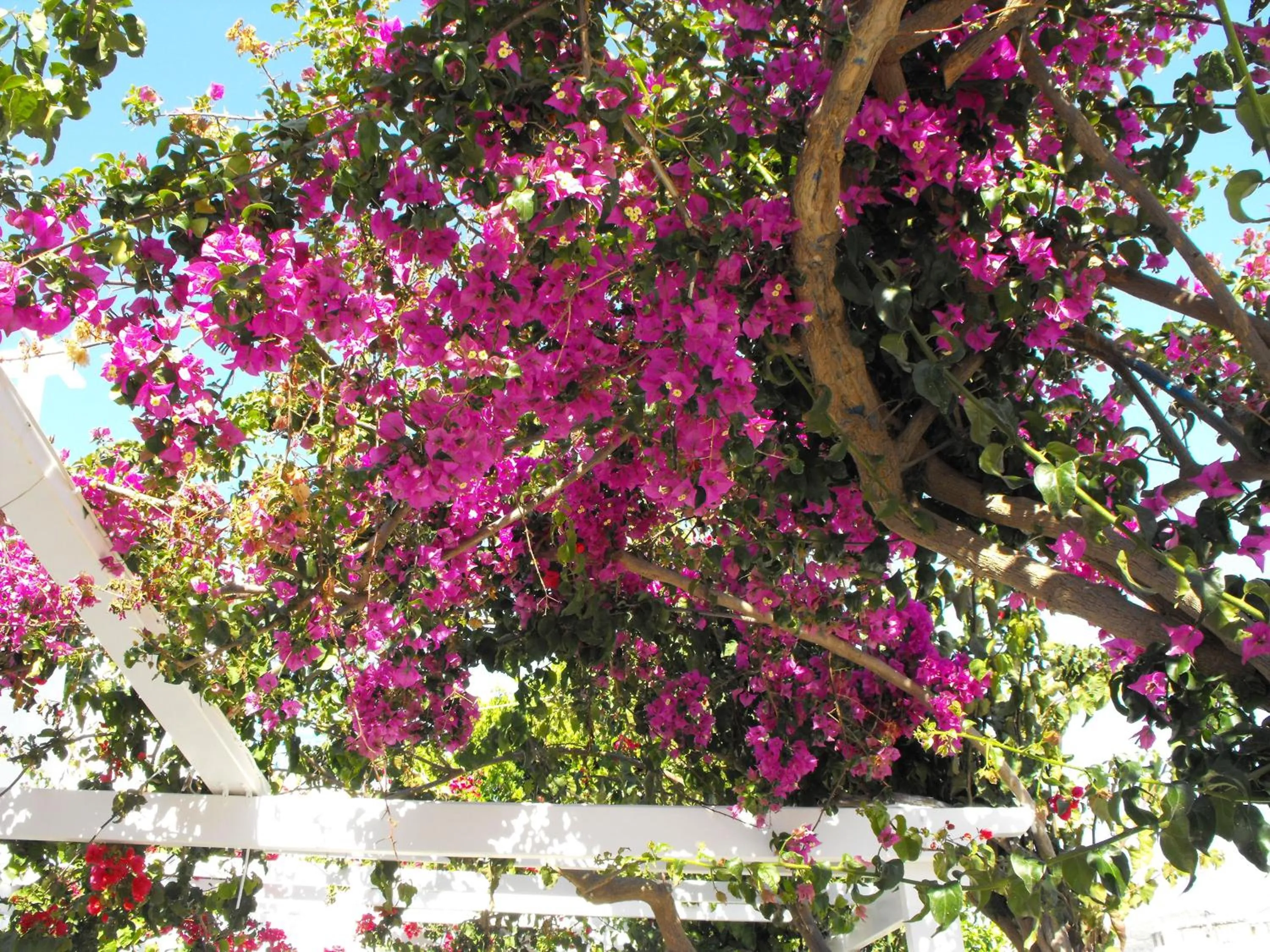 Facade/entrance in Milos Bay Suites