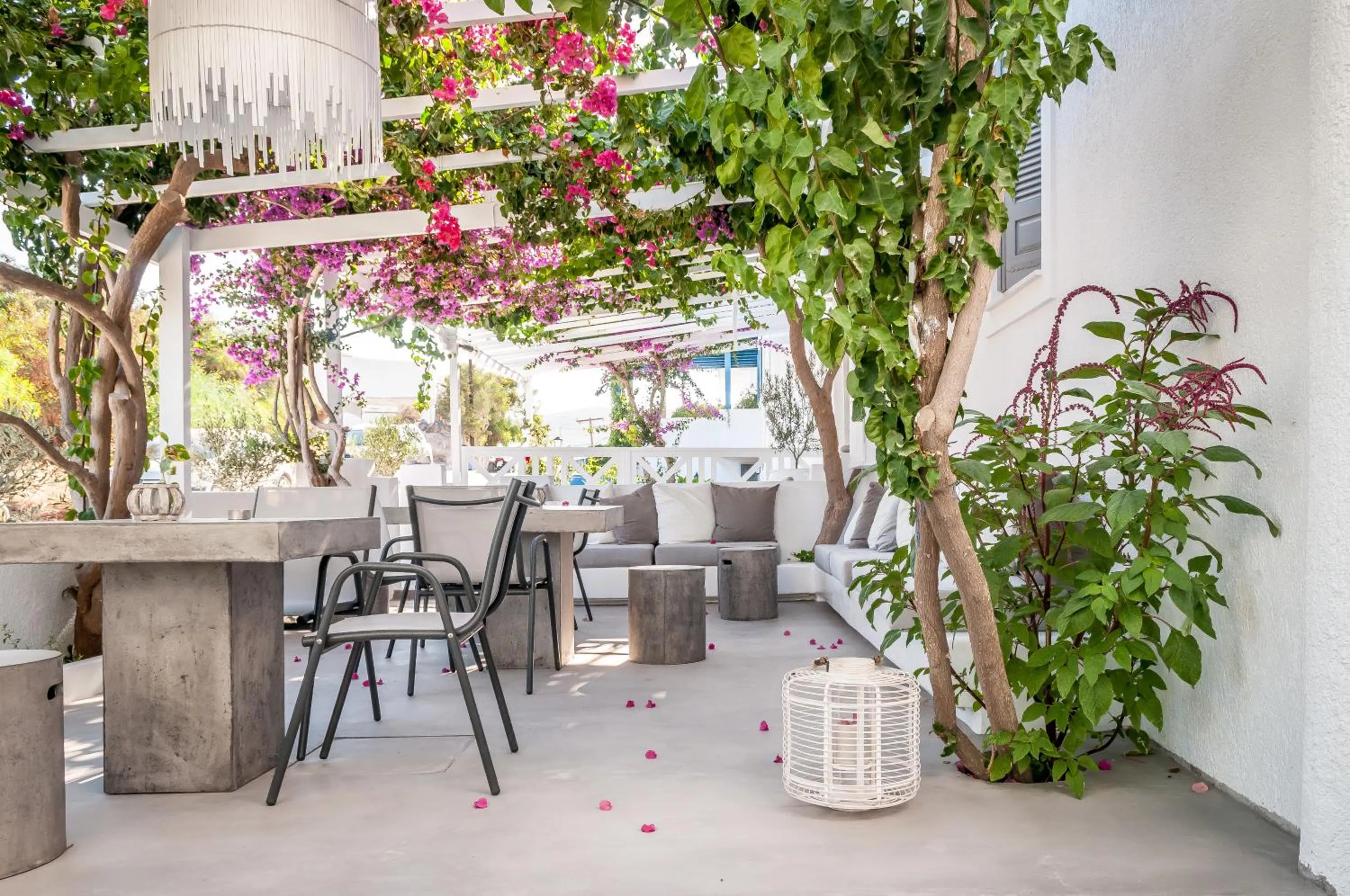 Garden in Milos Bay Suites