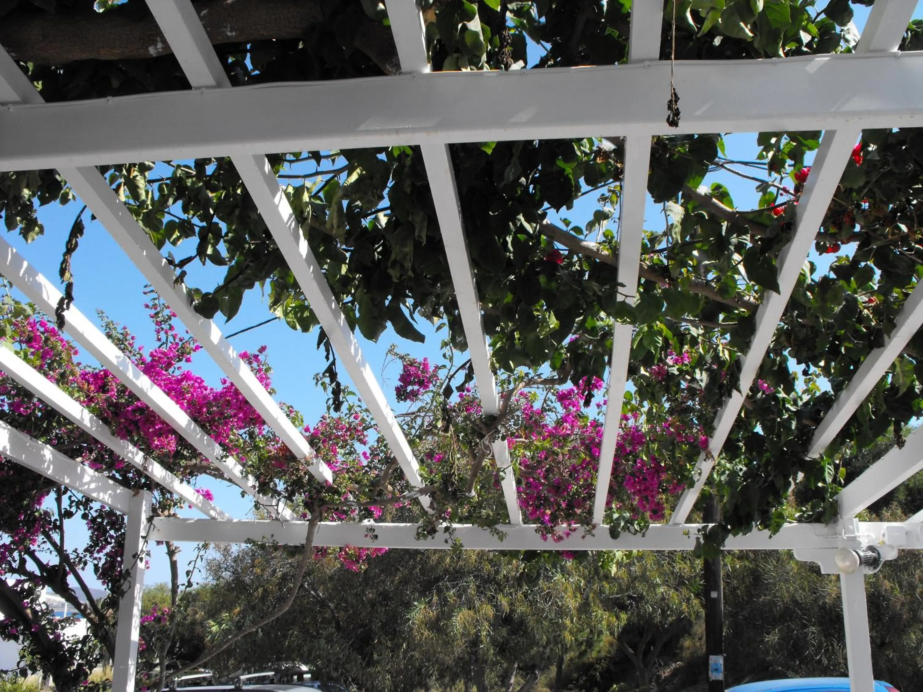 Facade/entrance in Milos Bay Suites