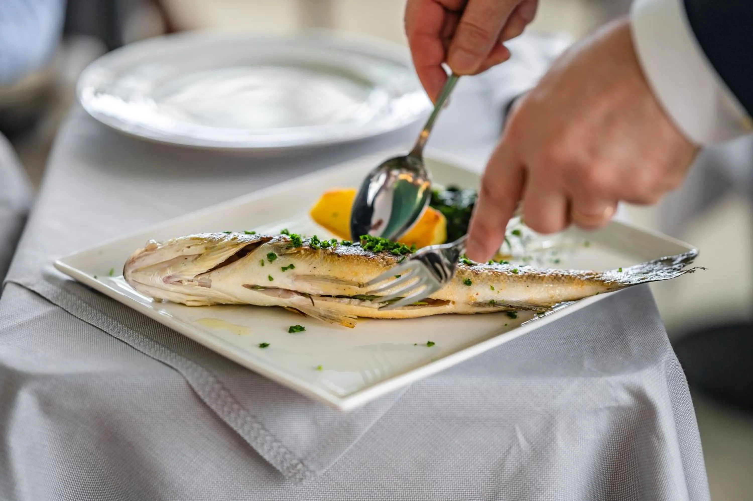 Food and drinks in Hotel Europa