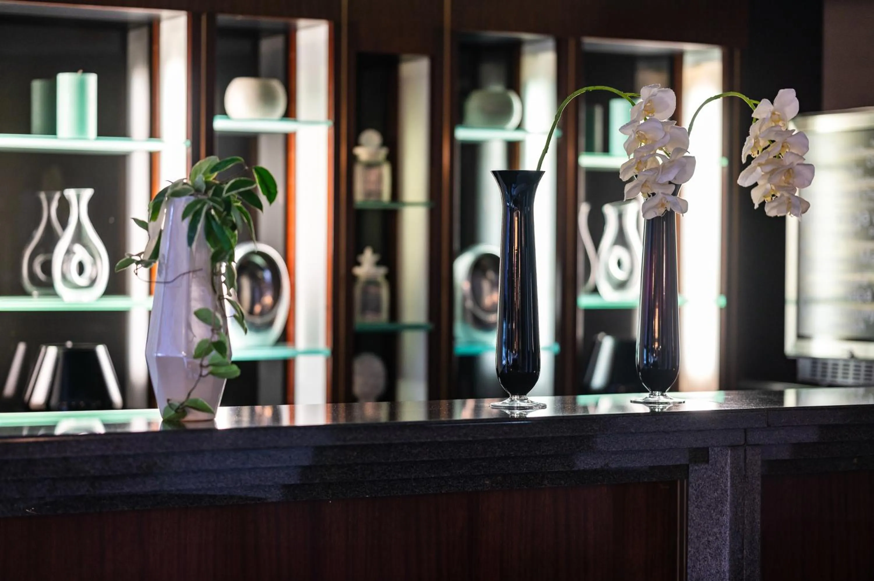 Lobby or reception in Hotel Europa