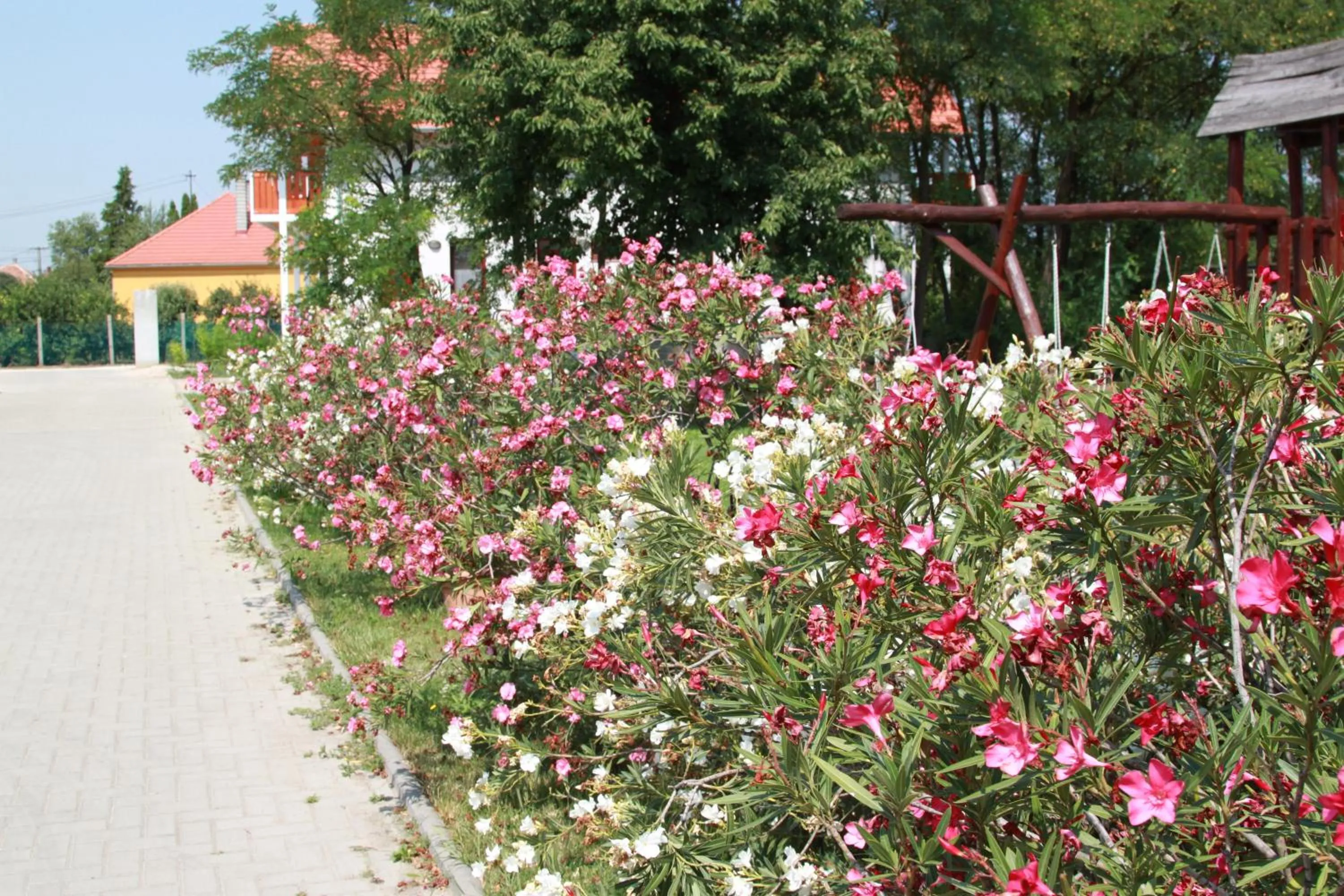 Garden in Rábensteiner Panzió